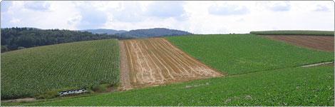 Wohngebiet Am M�hlberg