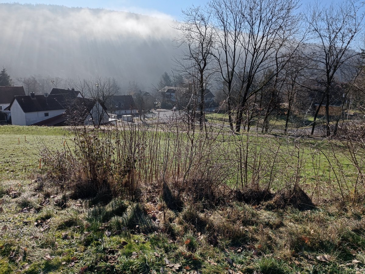 Wohngebiet Altenfeld