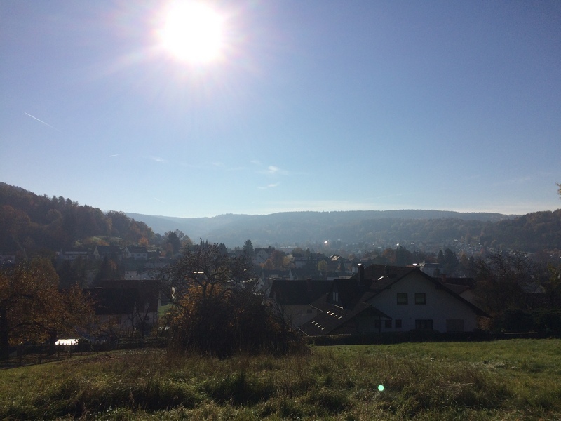 Ausblick auf die Stadt Bad Orb 