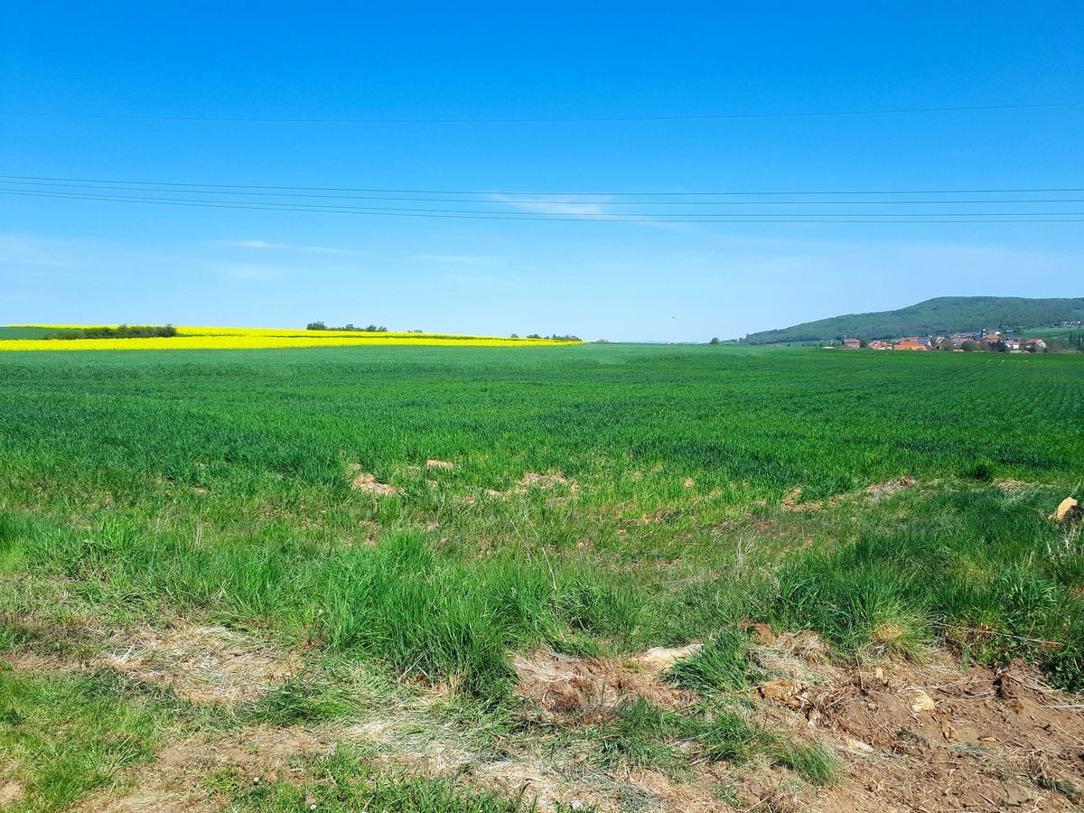 Muehlhausen: Blick vom Kirschberg