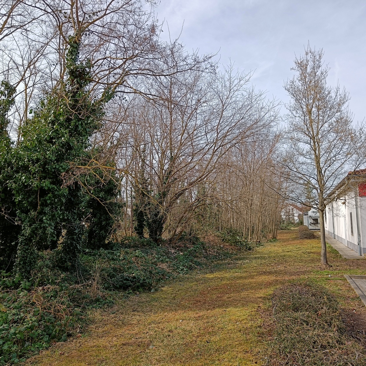 Grünstreifen