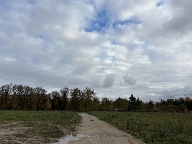 Bauplatz Nr. 15 im Mischgebiet Baugebiet "Petershof"