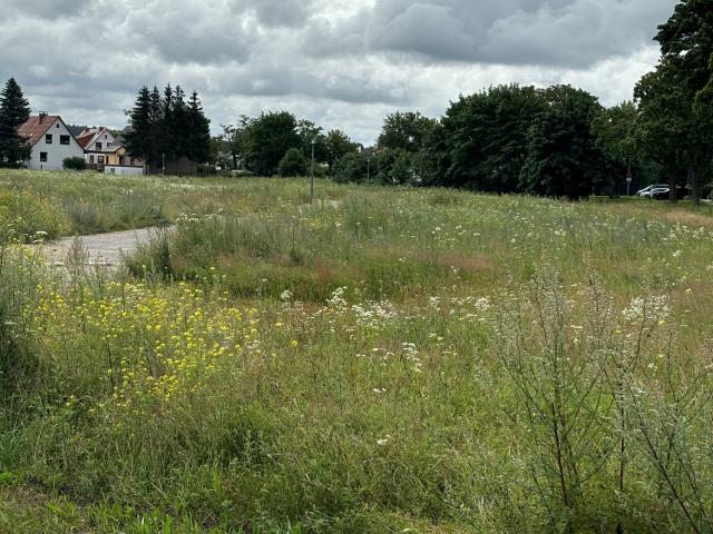 Bauplatz Nr. 1 im Wohngebiet Baugebiet "Fischerweg"