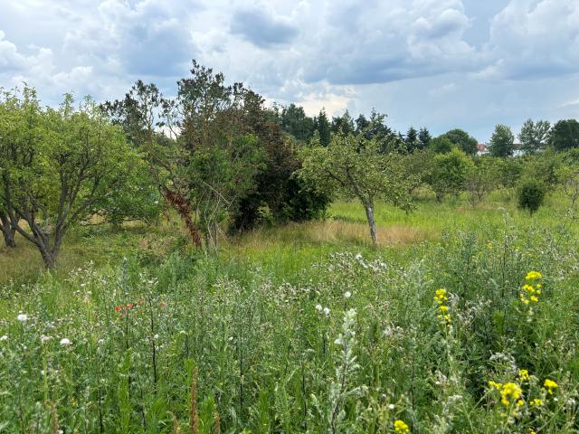 Misch- und Wohngebiet »Baugebiet "Petershof" 1. Bauabschnitt«