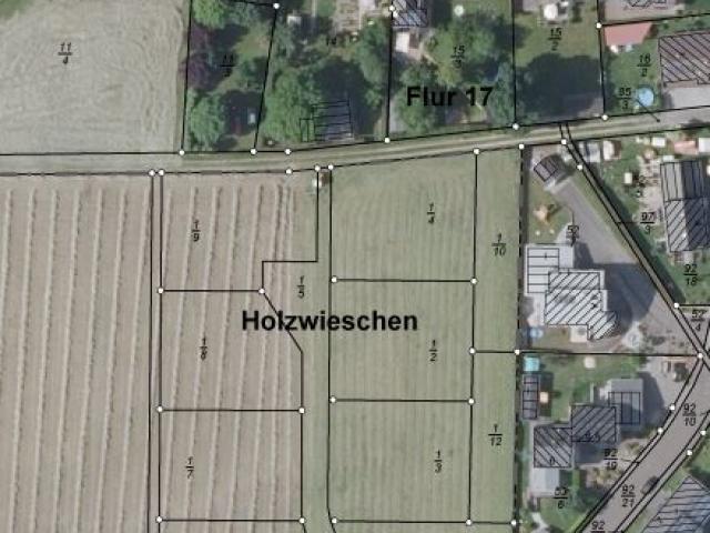 Wohngebiet »Holzwieschen«