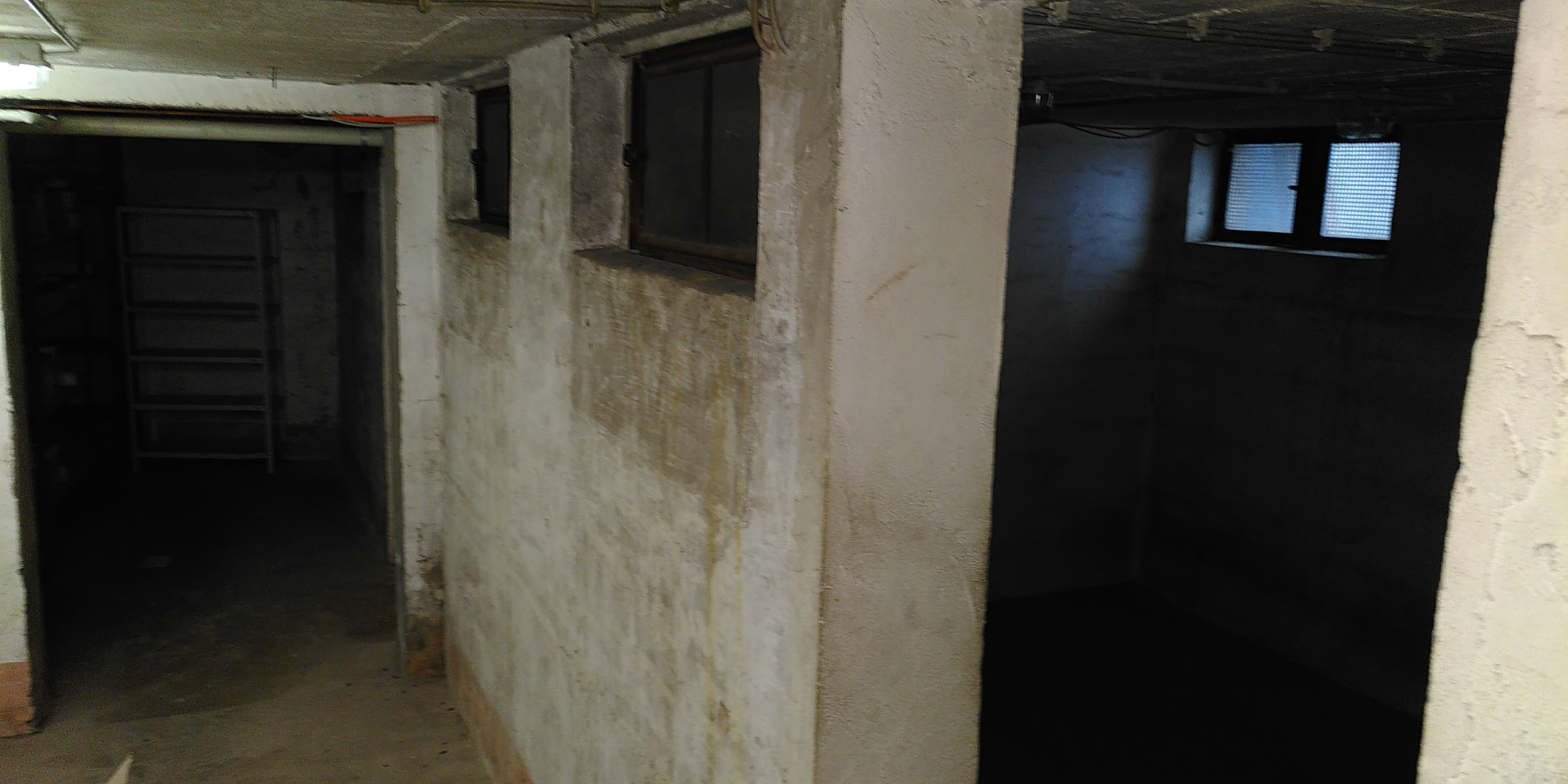 IMG 20230312 095044.jpg