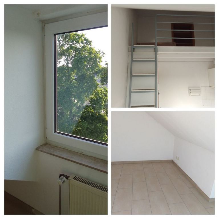 IMG 20230612 190958-COLLAGE.jpg