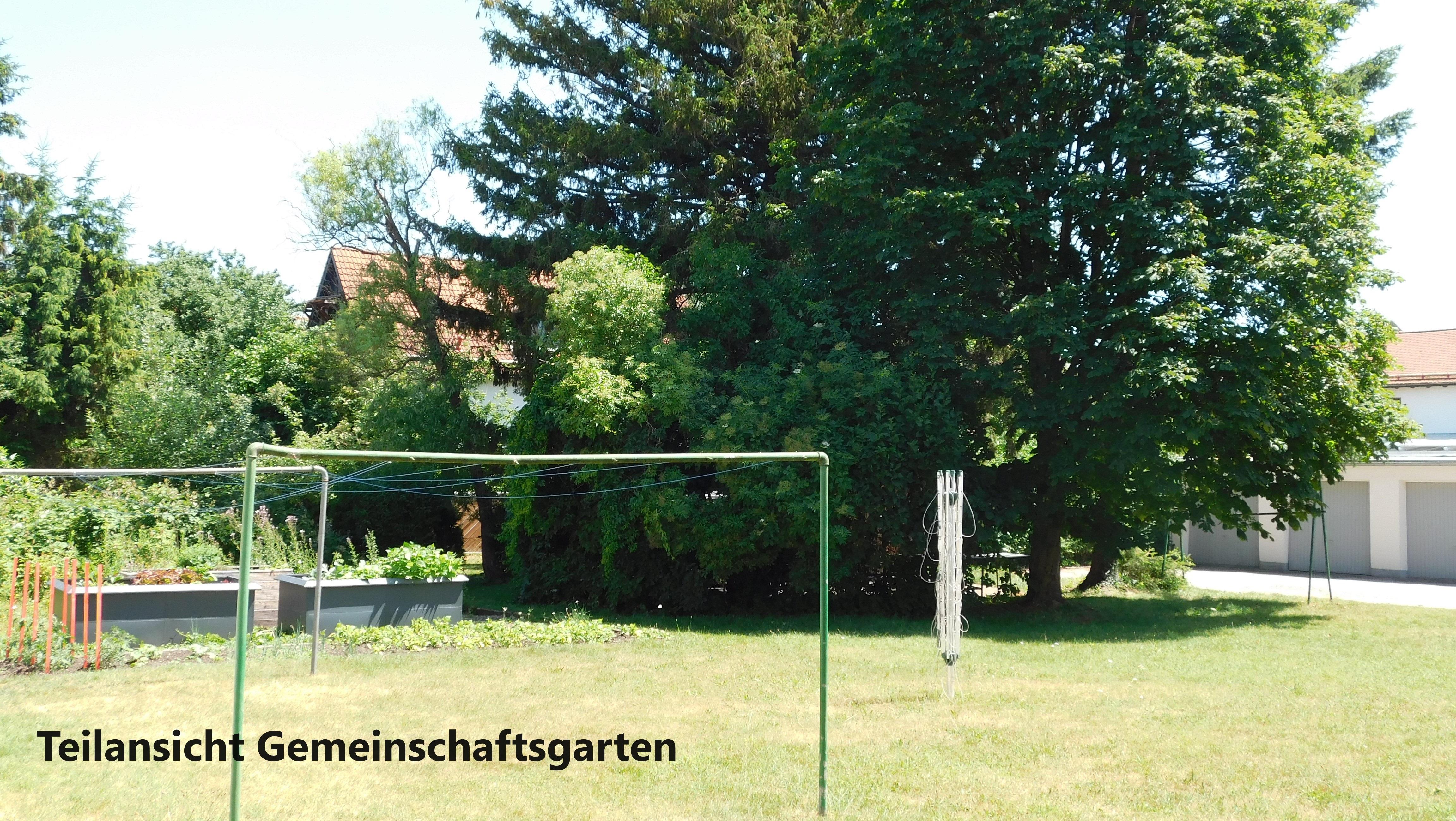 Teilansicht Gemeinschaftsgarten.jpg