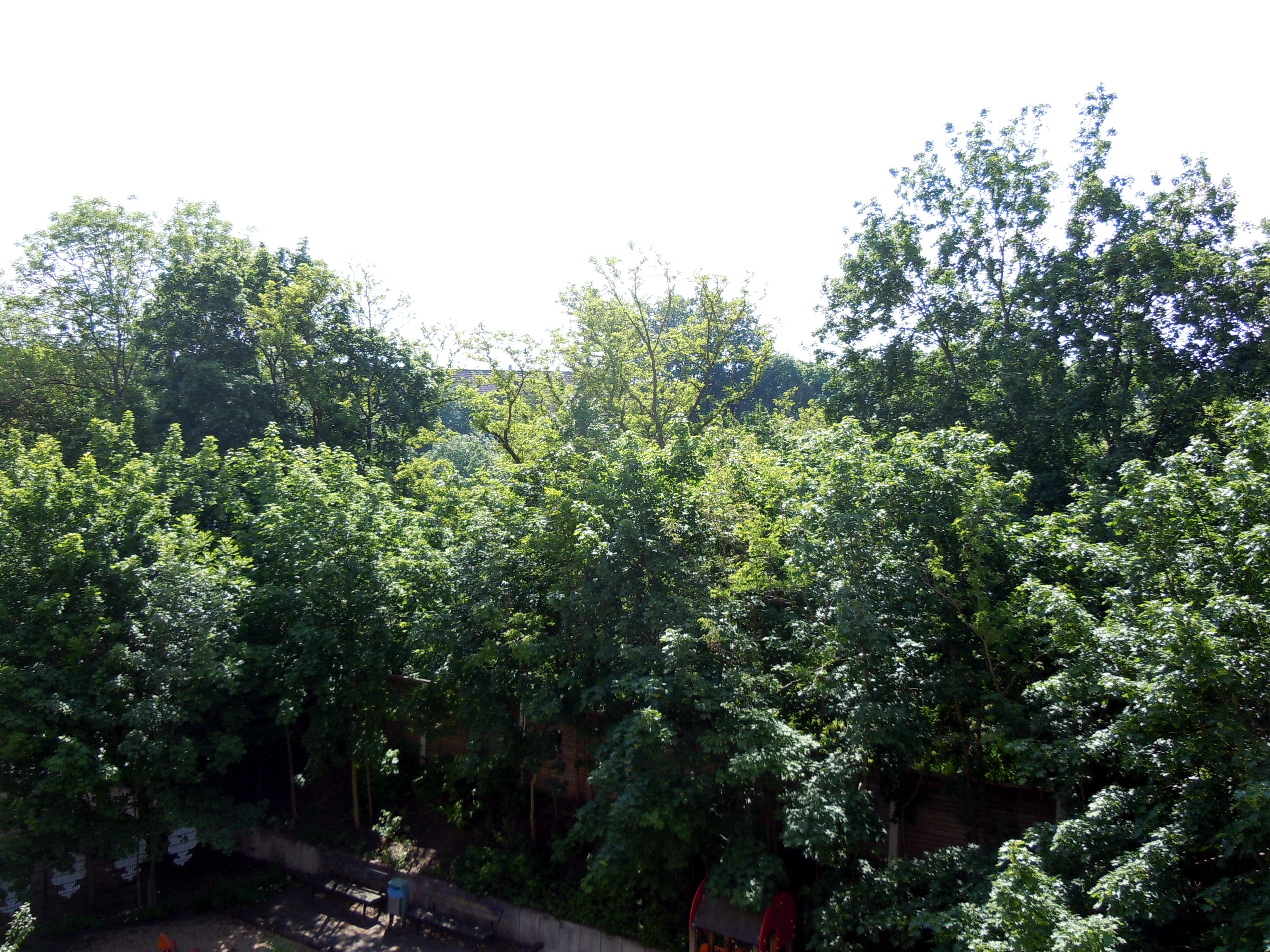 Blick vom Balkon im Frühjahr/Sommer