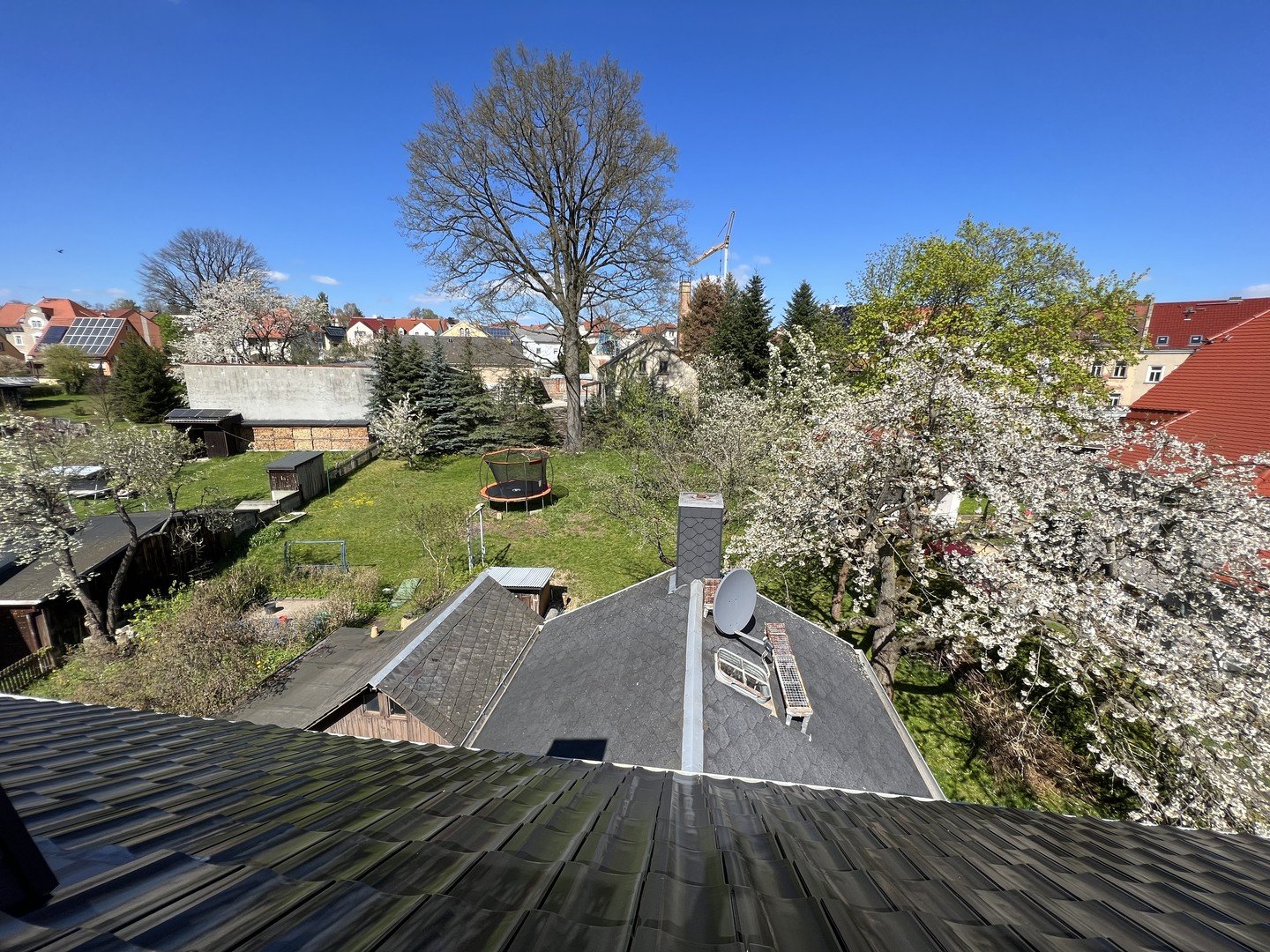 Blick vom Dach in den Garten