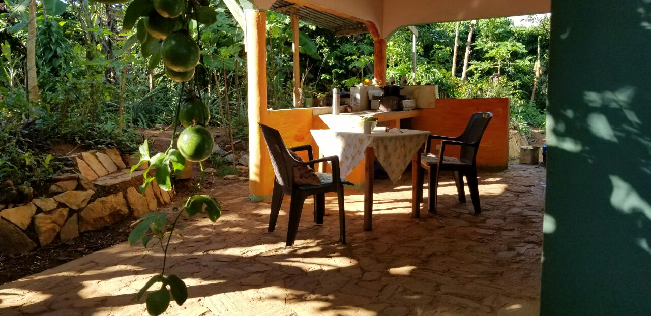 IMG 20240701 105643 577.jpg