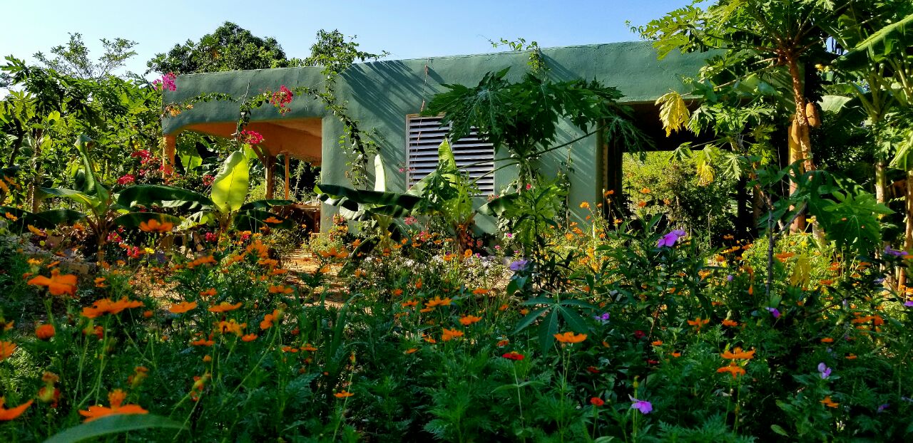 IMG 20240701 105643 923.jpg