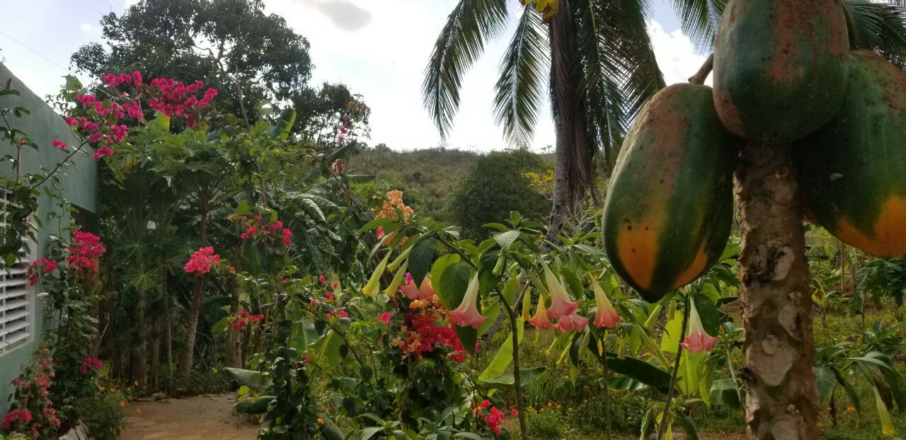 IMG 20240701 105643 654.jpg