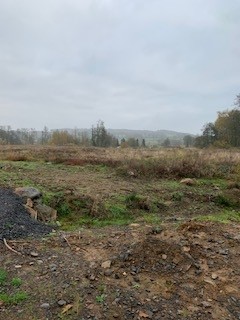 Baugebeit Am Katzenteich.jpg