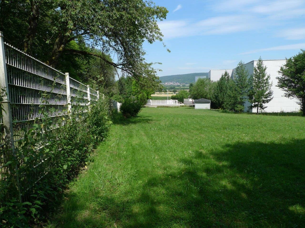 Freifläche