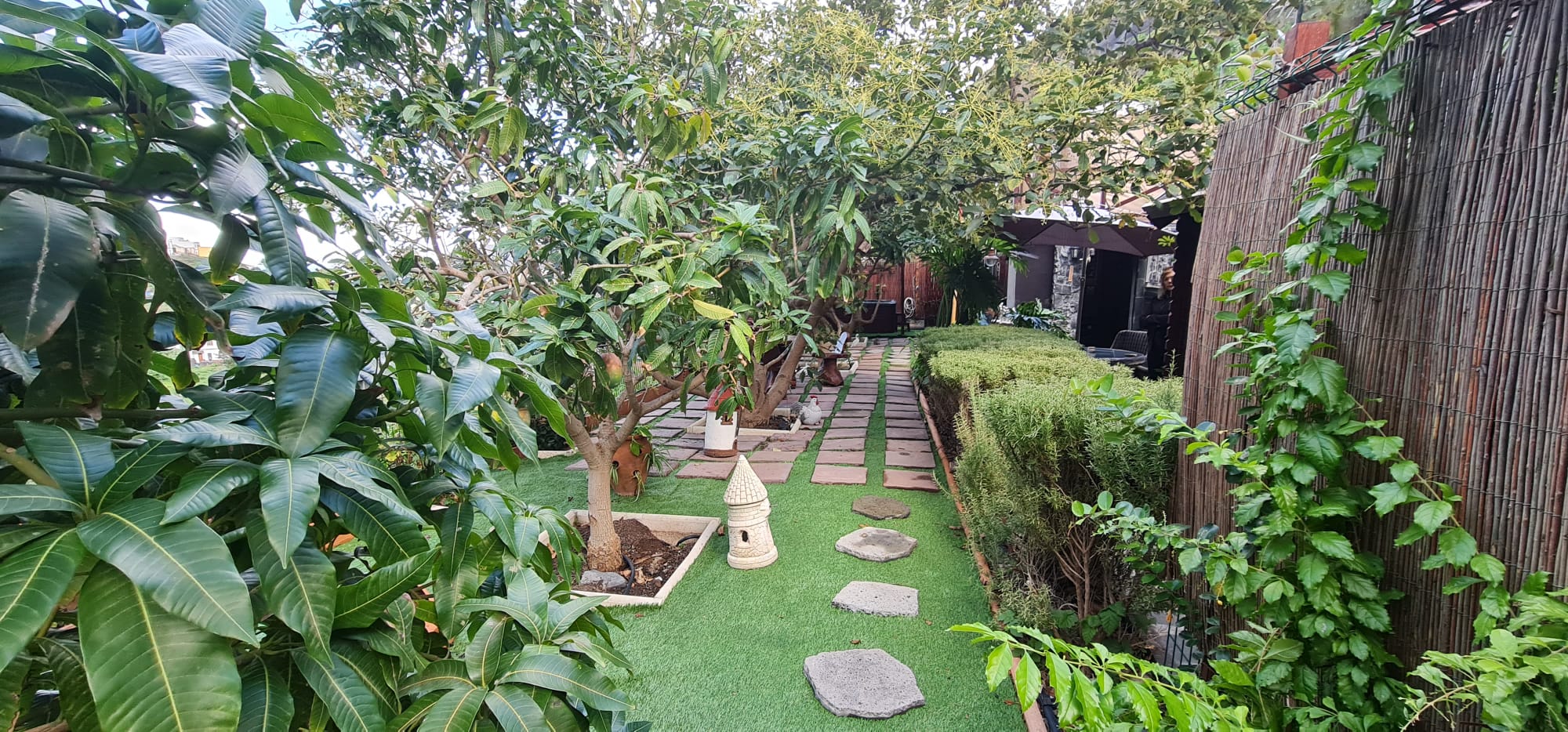 Außenbereich 1.jpeg