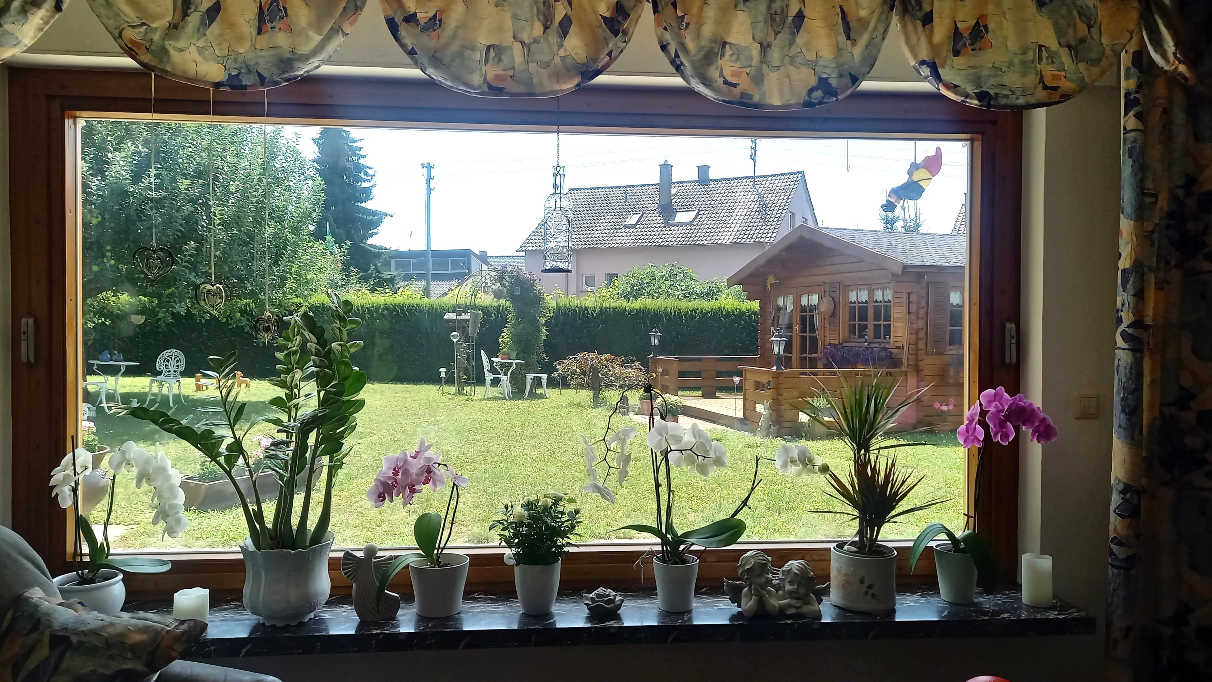 Wohnzimmer Blick zum Garten.jpg