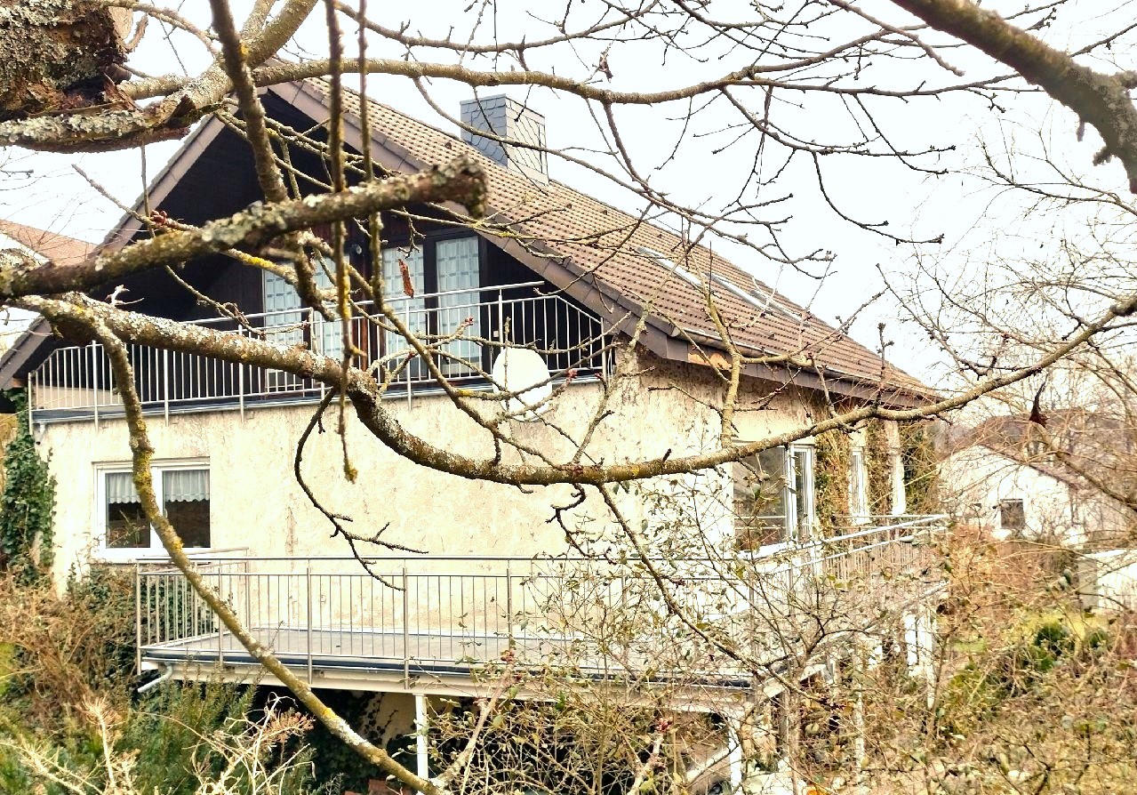 Haus Ausschnitt Südwest 1.jpg