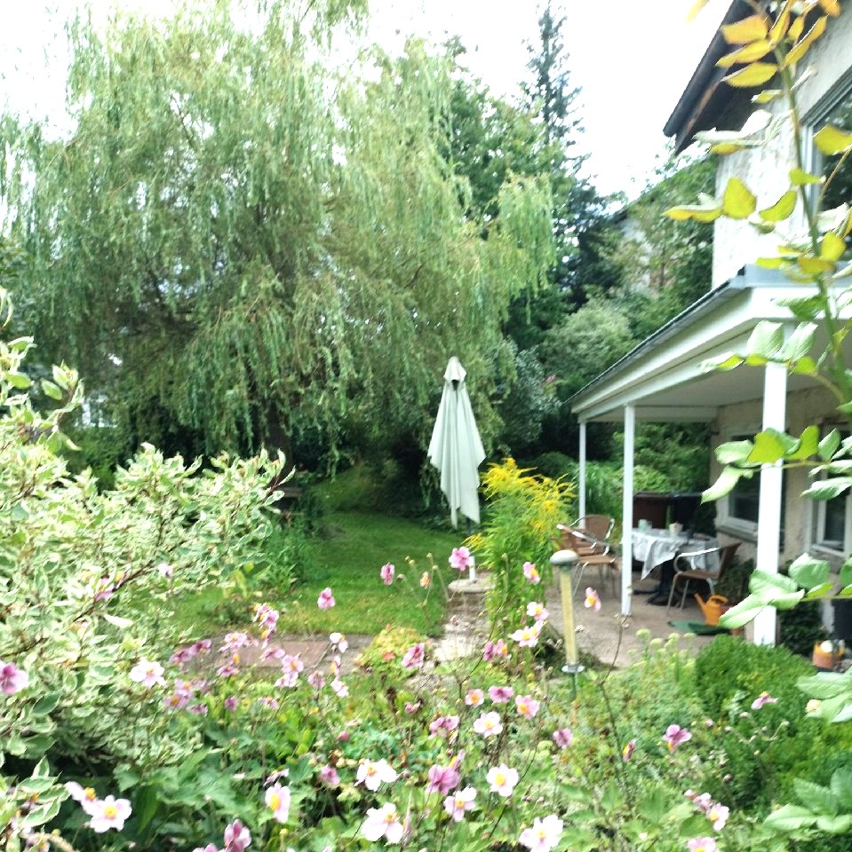 Haus Außen Süd (Richtung Westen) 2.jpg
