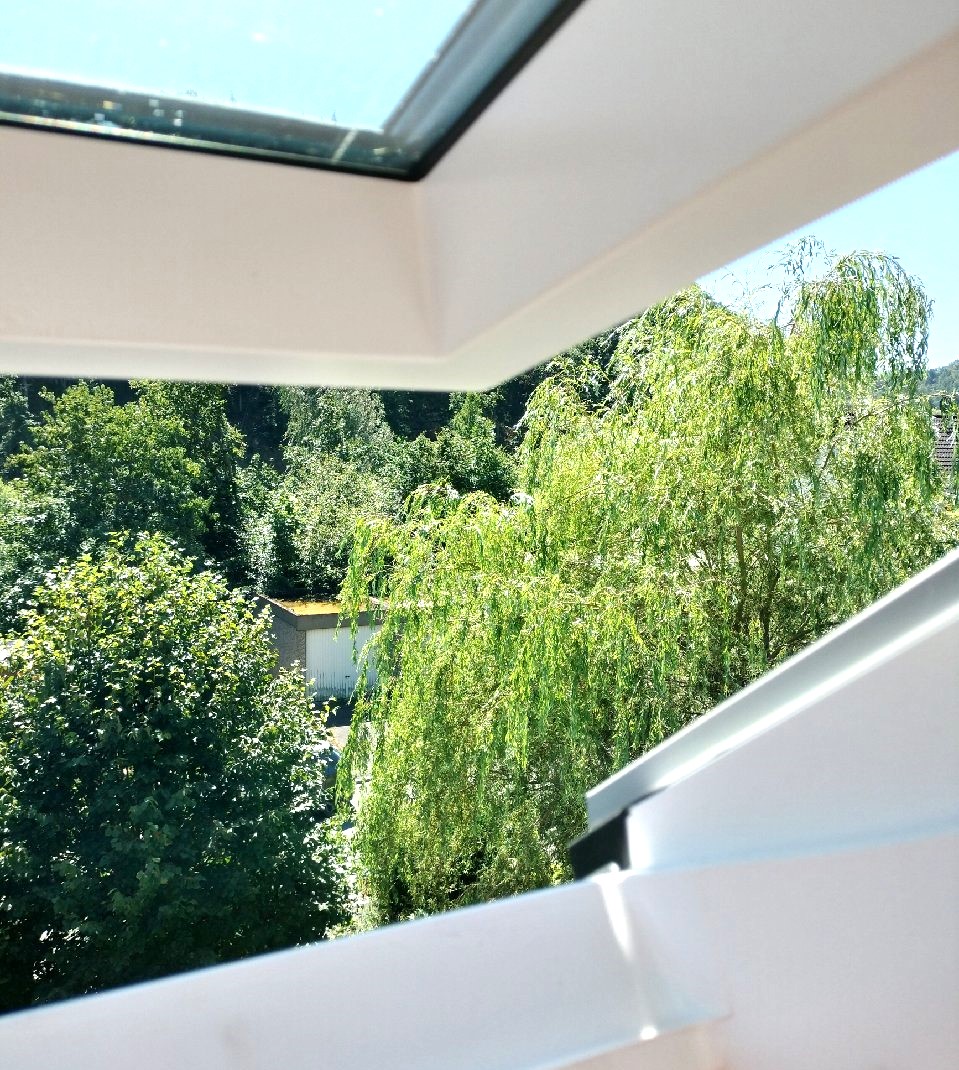 Haus Dachfenster Ausblick Südwest.jpg