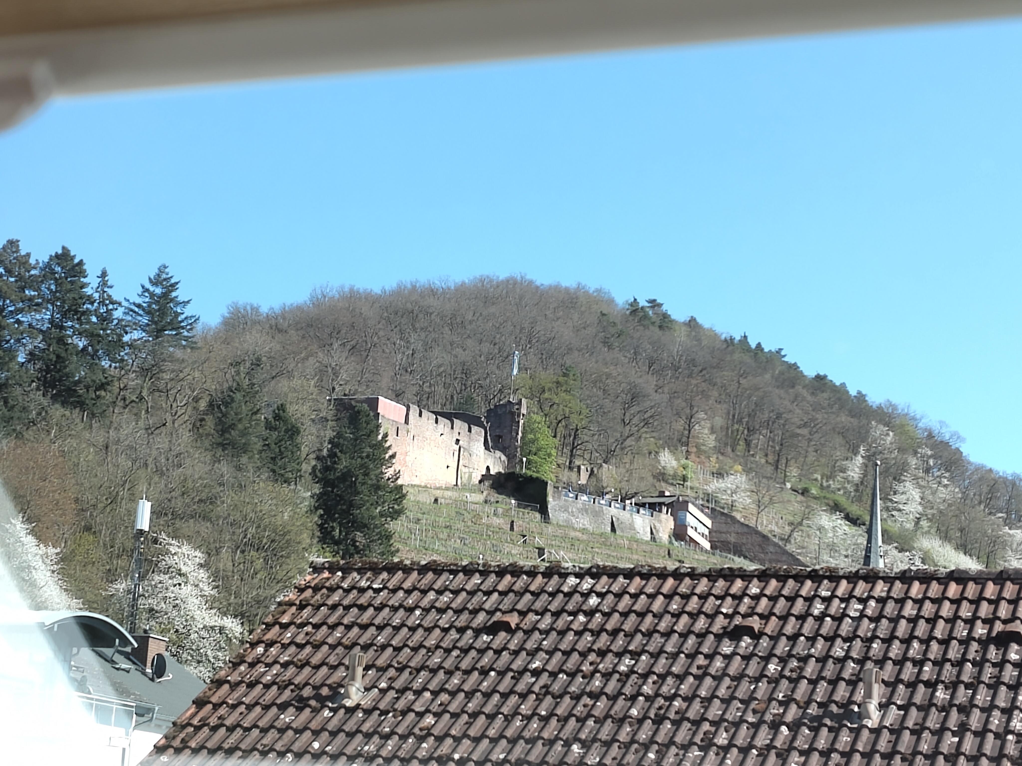 IMG 20250406 154223.jpg