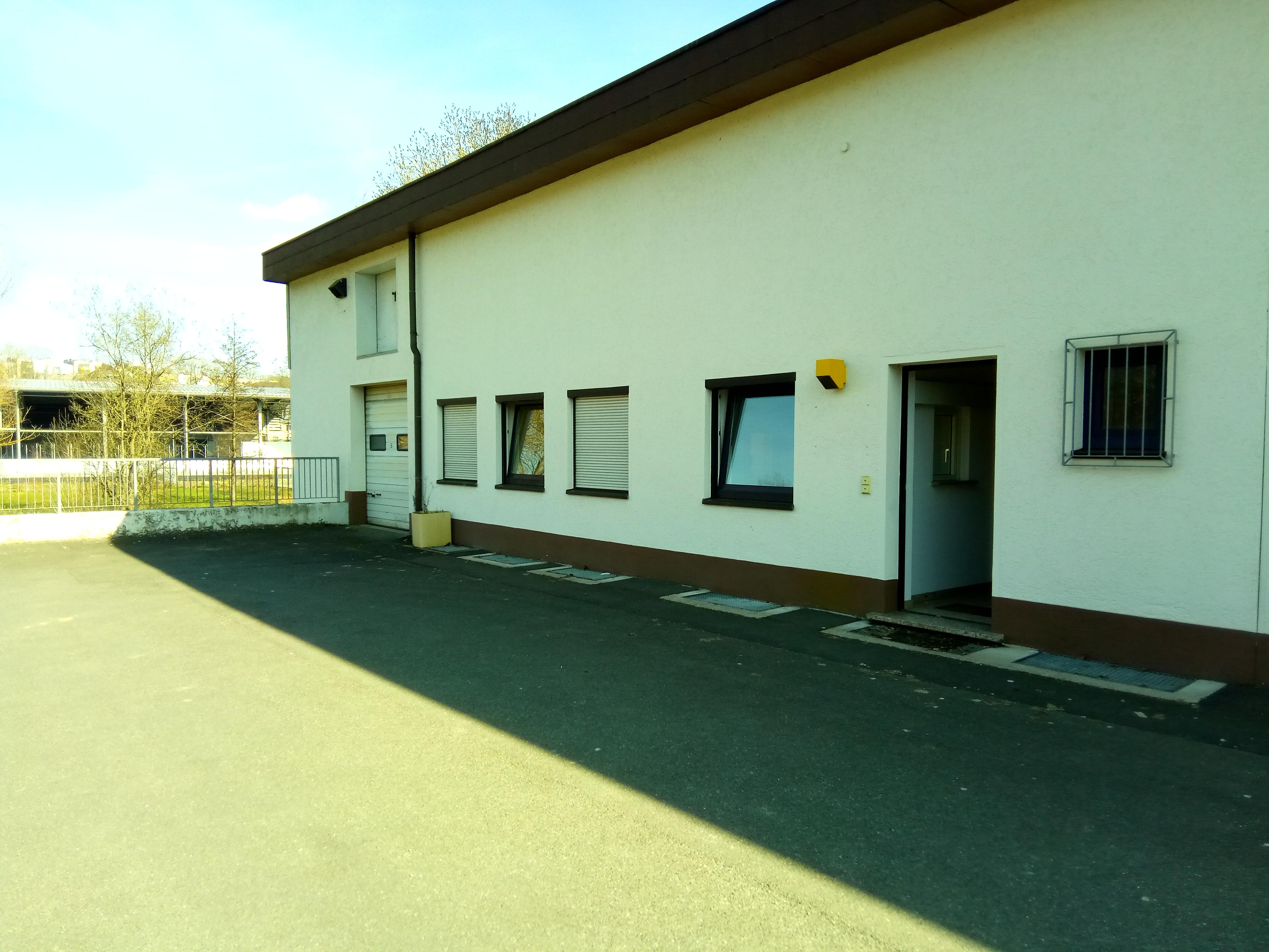 IMG 20250410 161947.jpg