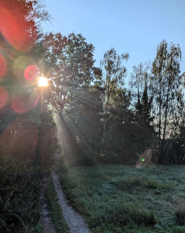 Küchenfenster Ausblick.jpg