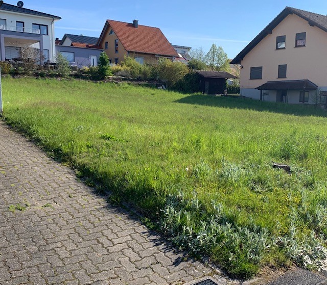 Weyersfeld 2.jpg