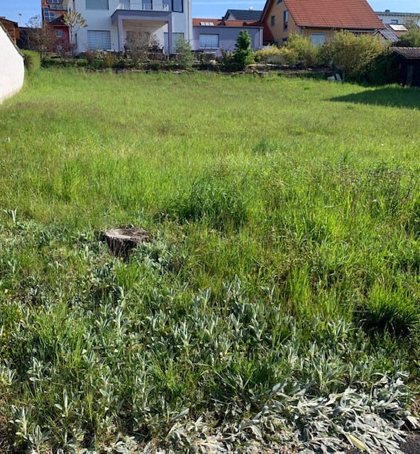 Weyersfeld 3.jpg
