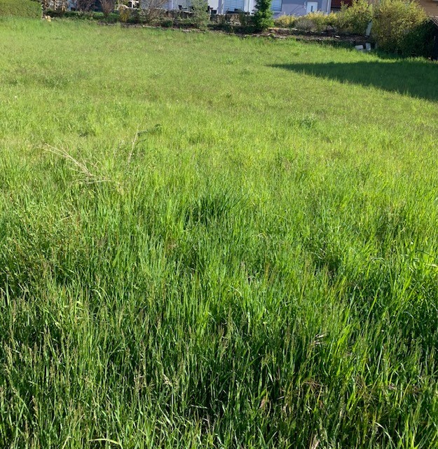 Weyersfeld 4.jpg
