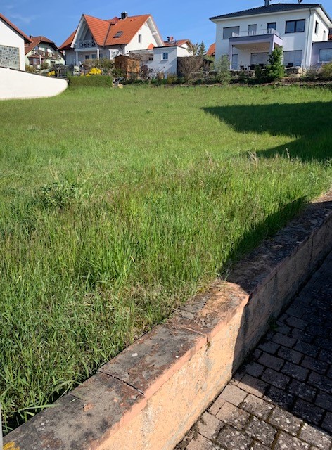 Weyersfeld 6.jpg
