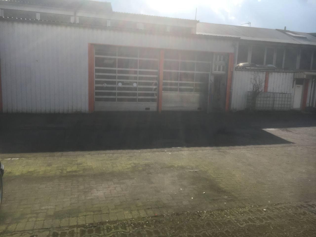 IMG 8408.jpeg