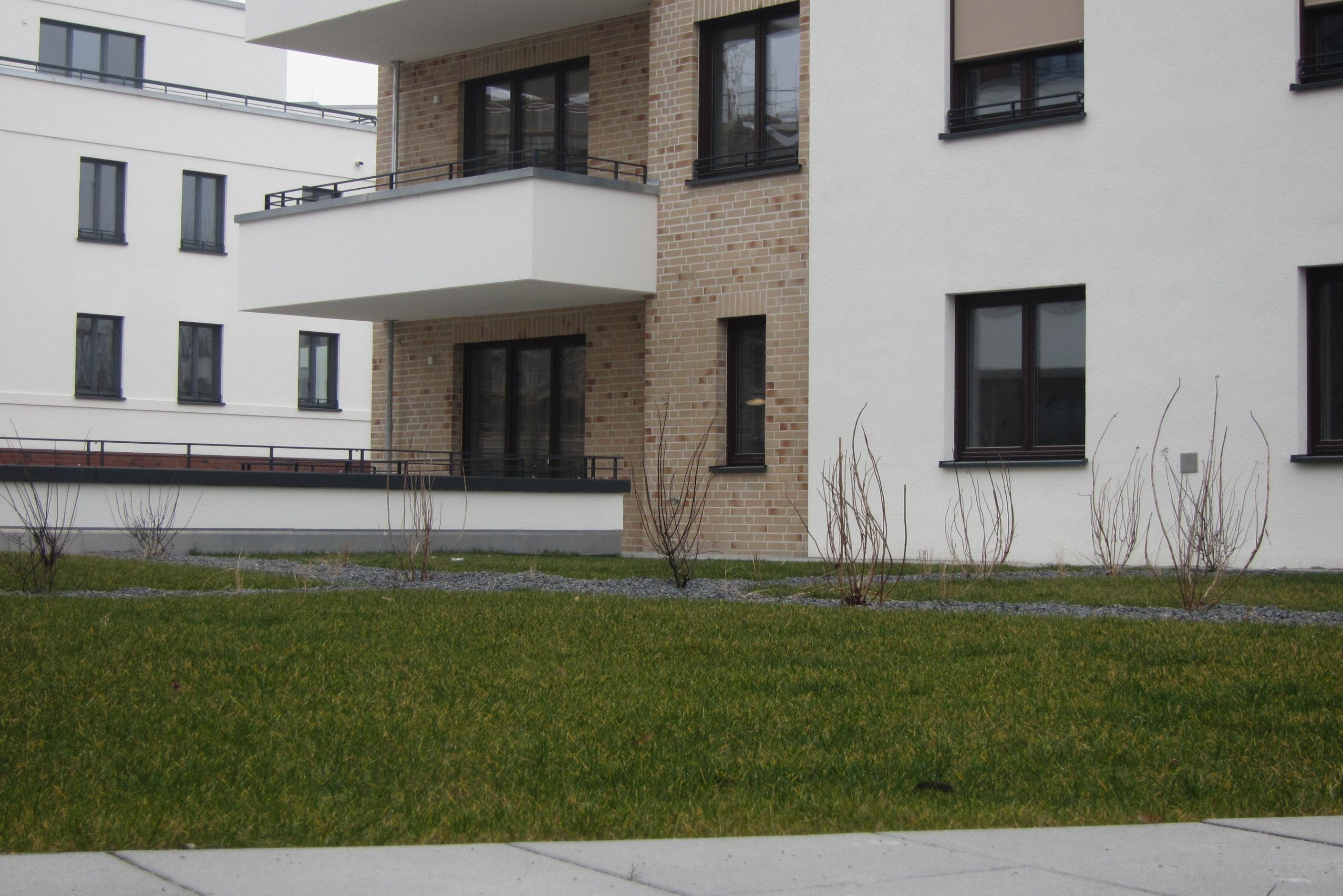 Wohungs Garten Sicht.JPG