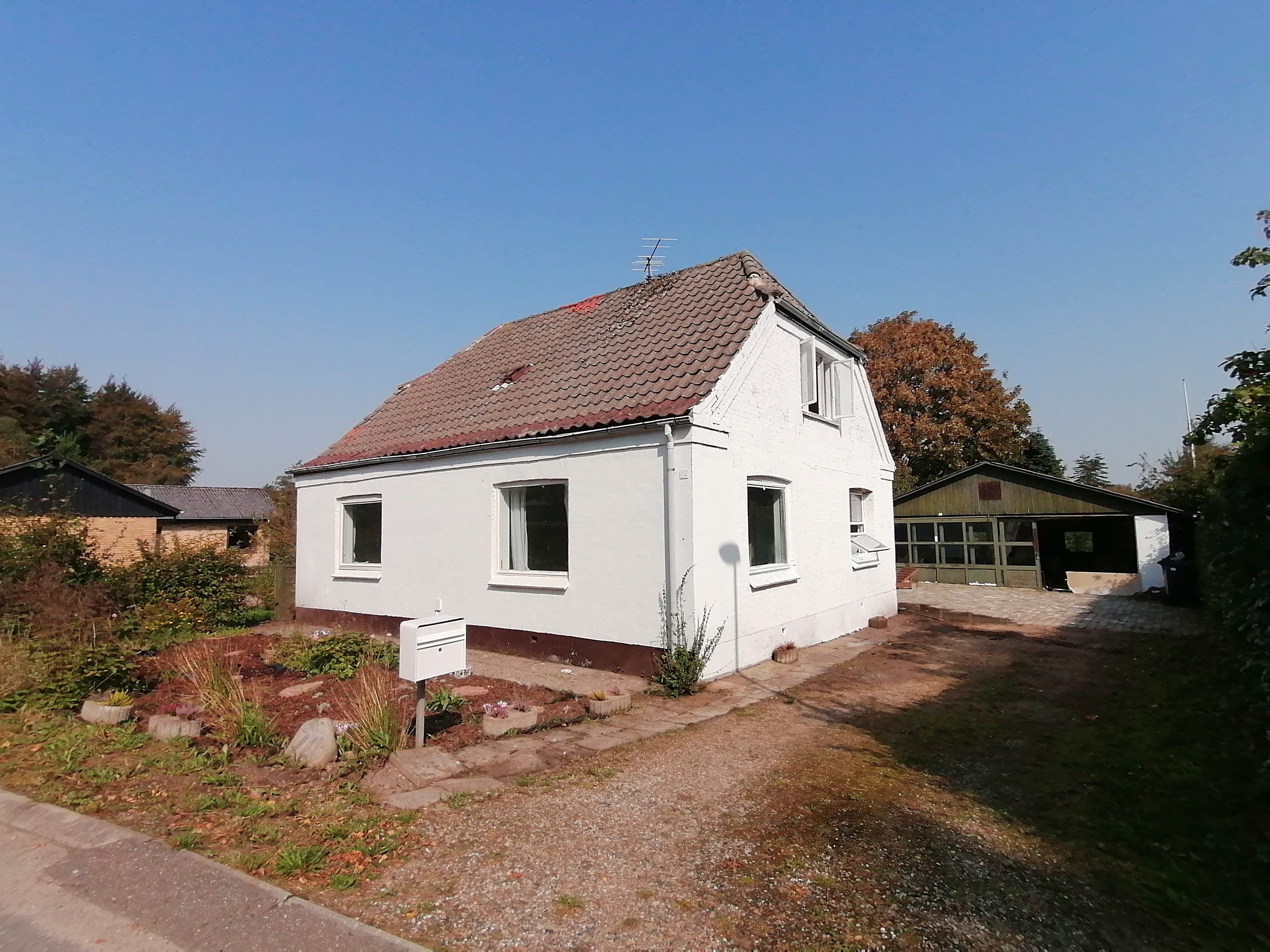 IMG 20240905 144444.jpg