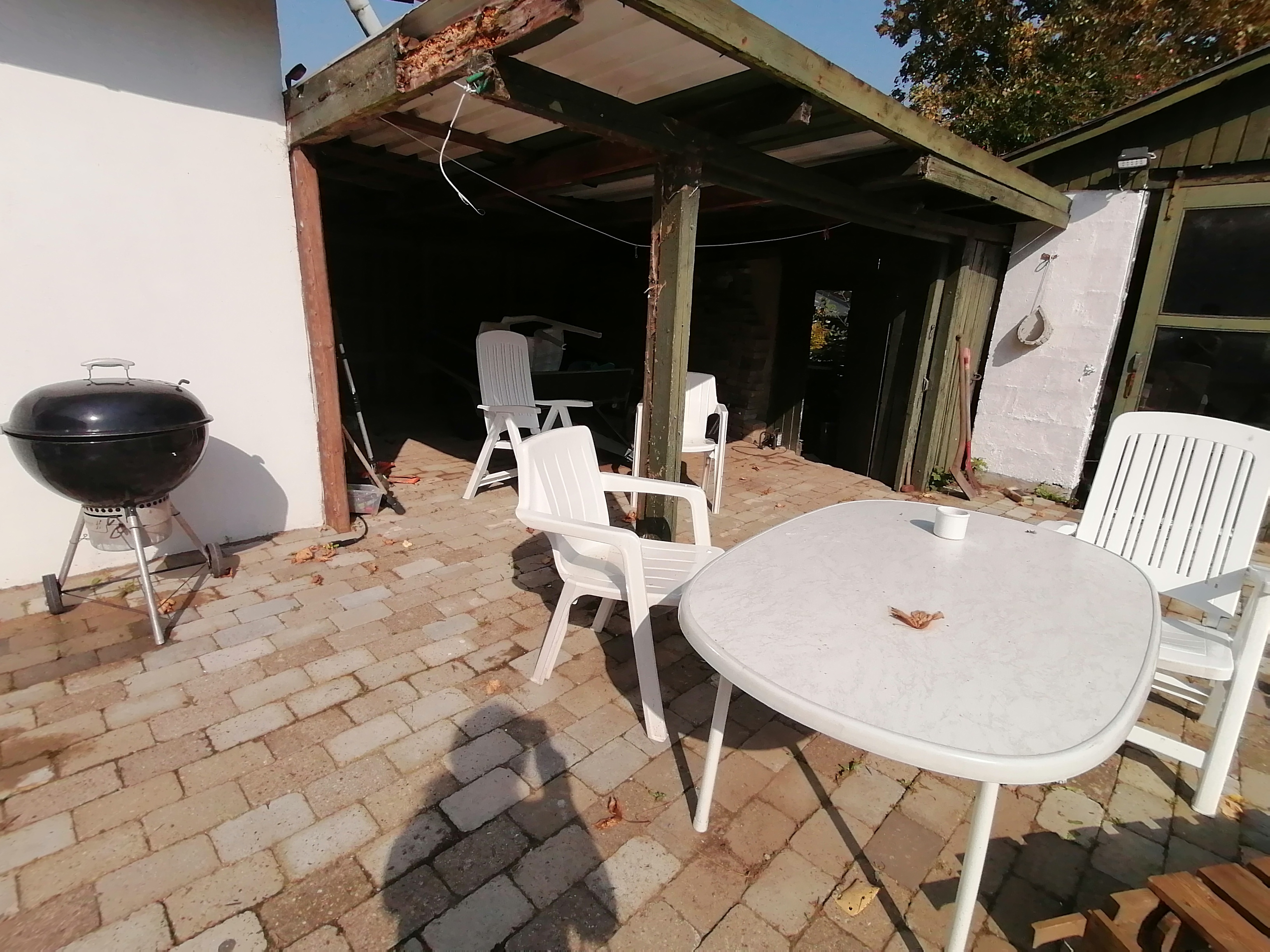 IMG 20240905 144526.jpg