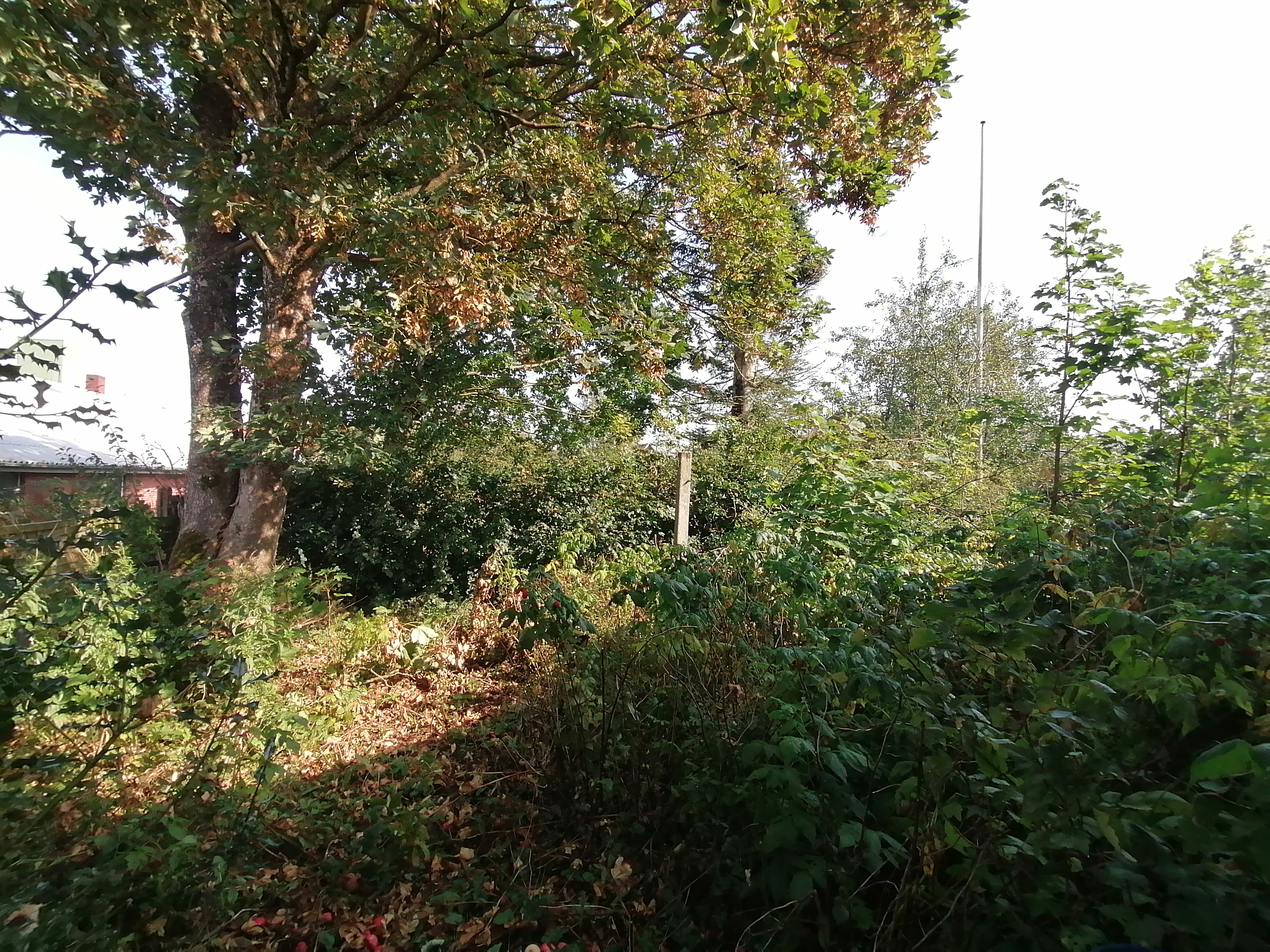 IMG 20240905 144156.jpg