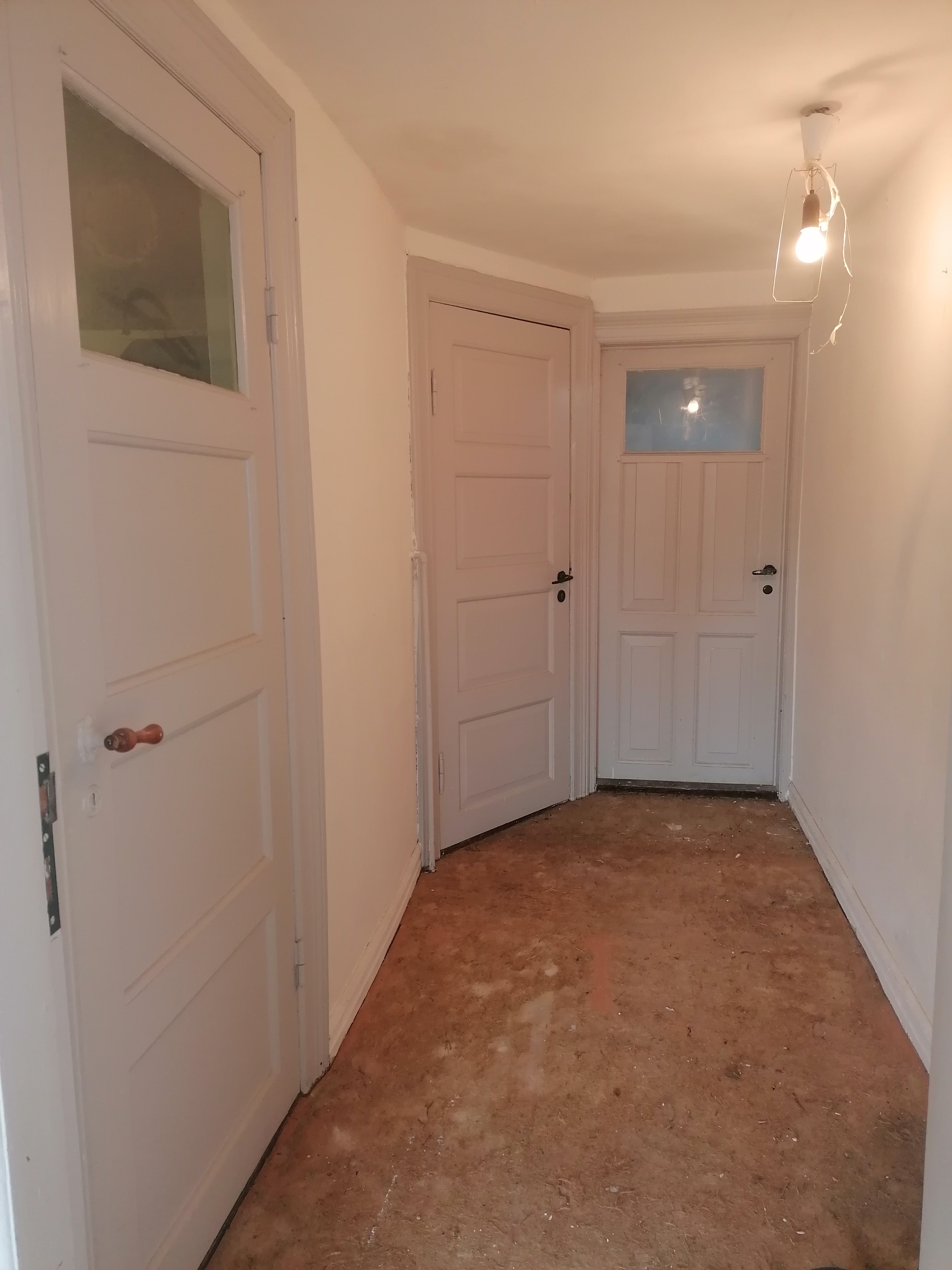 IMG 20240905 160532.jpg