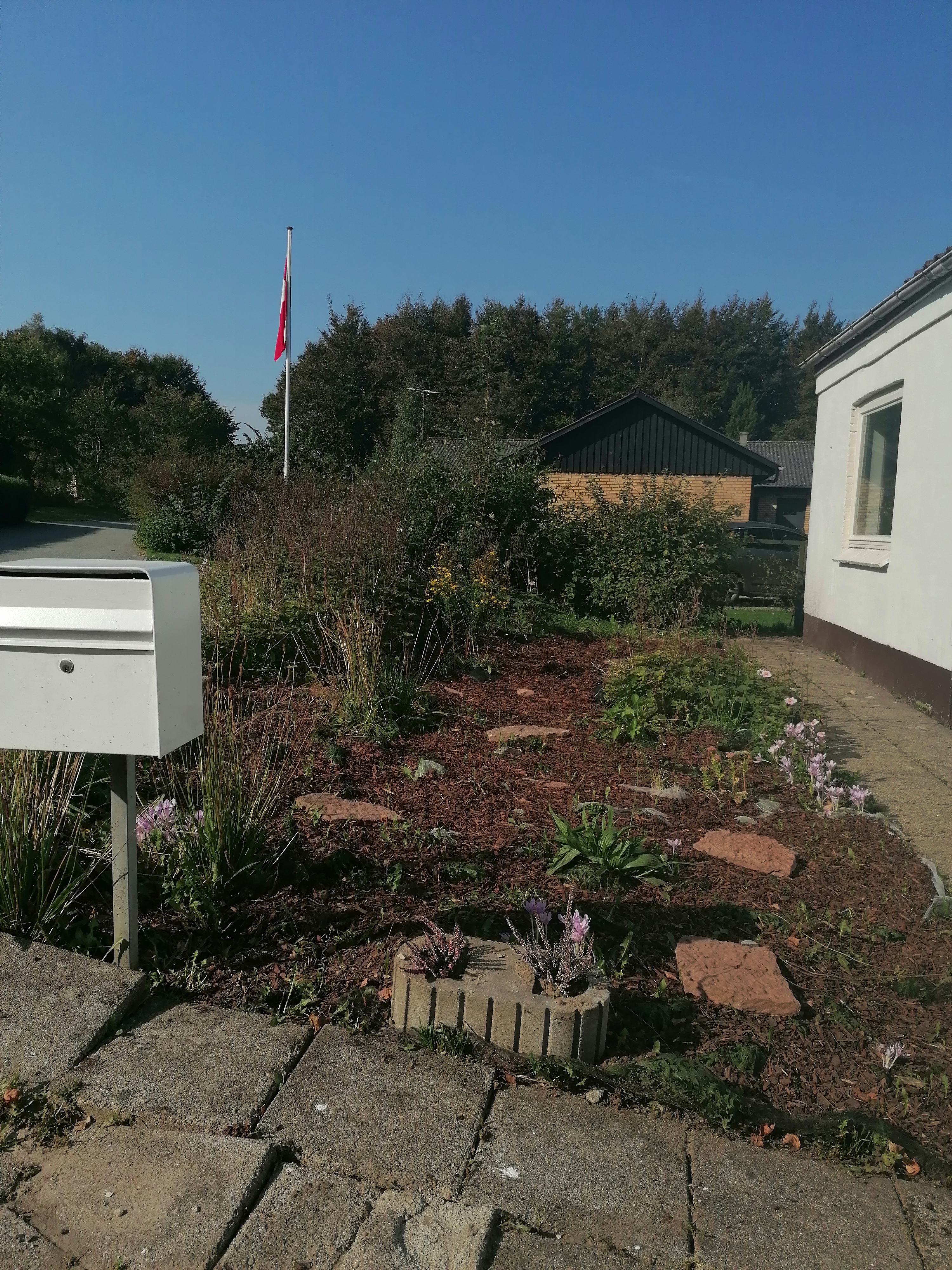 IMG 20240907 154259.jpg