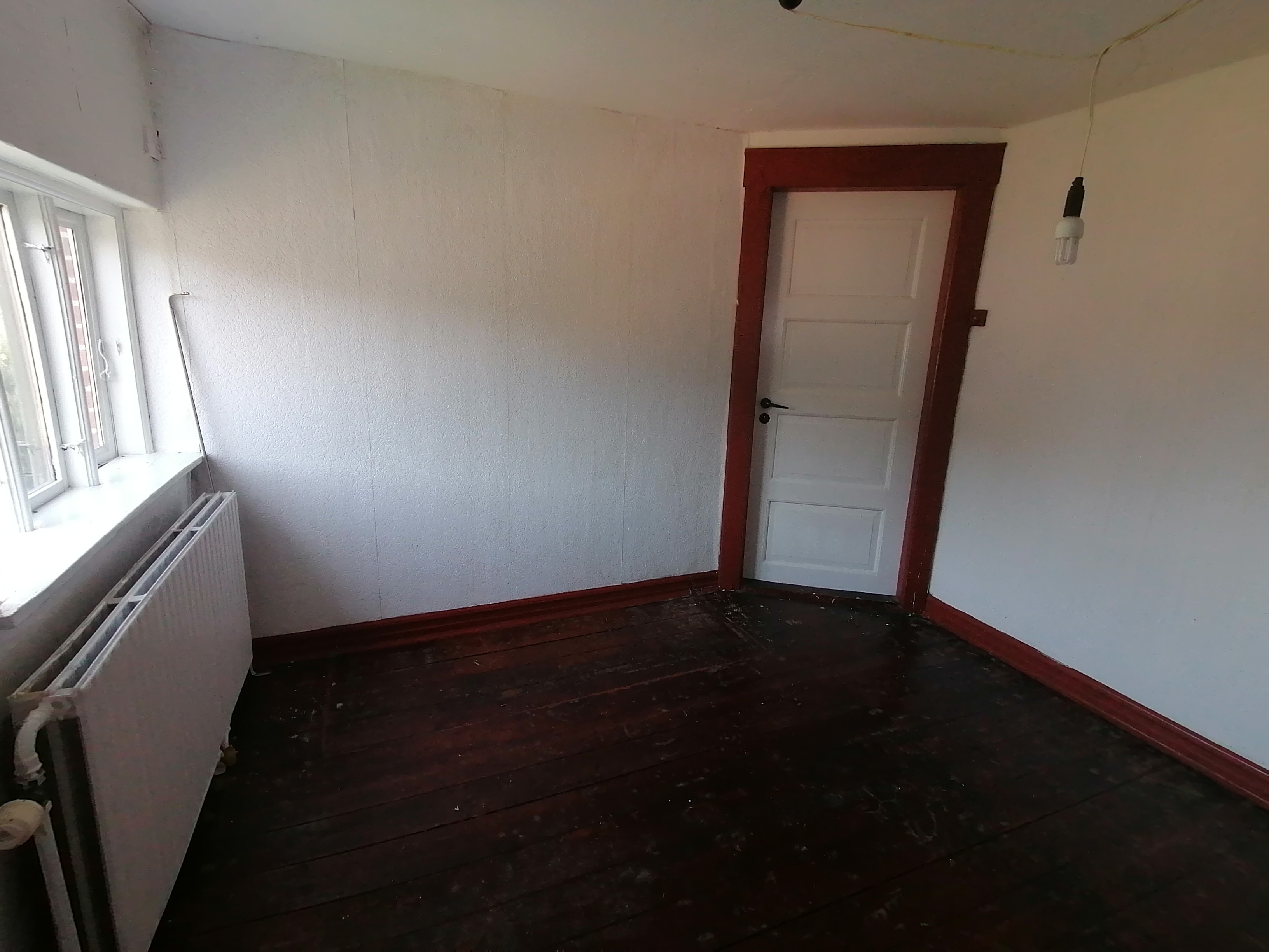 IMG 20240905 154731.jpg