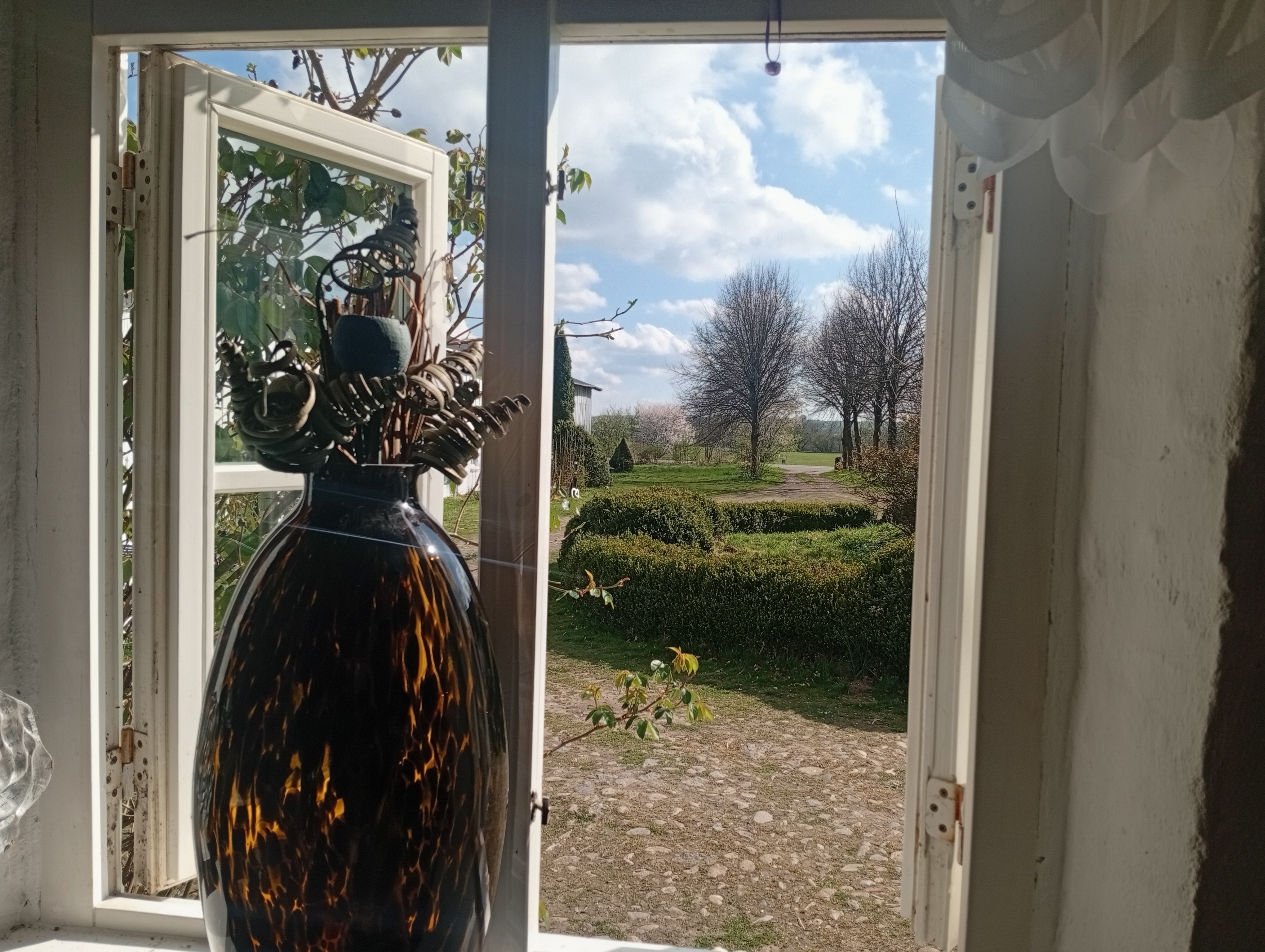 IMG 20250414 160647.jpg