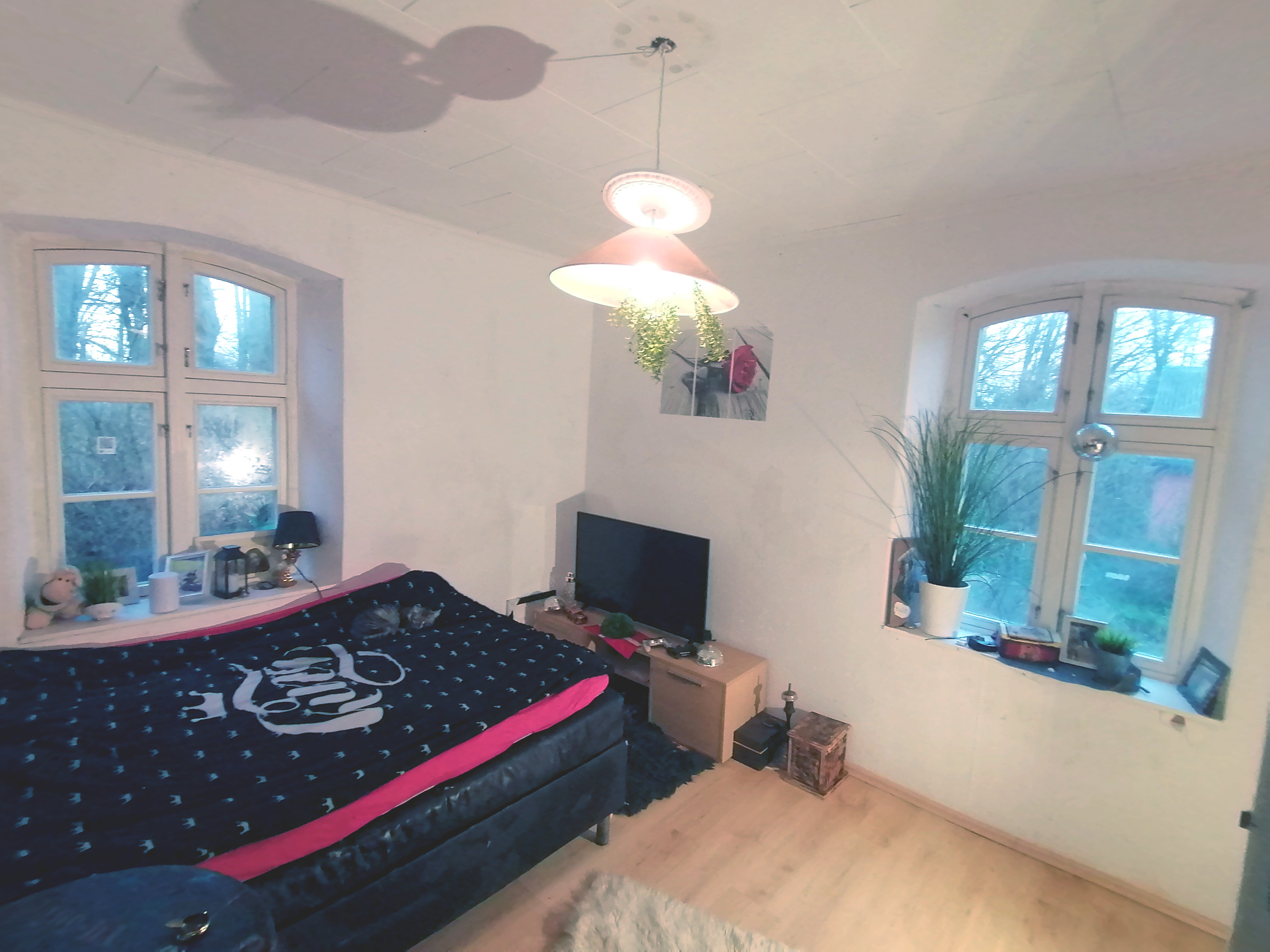 IMG 20250119 154840.jpg