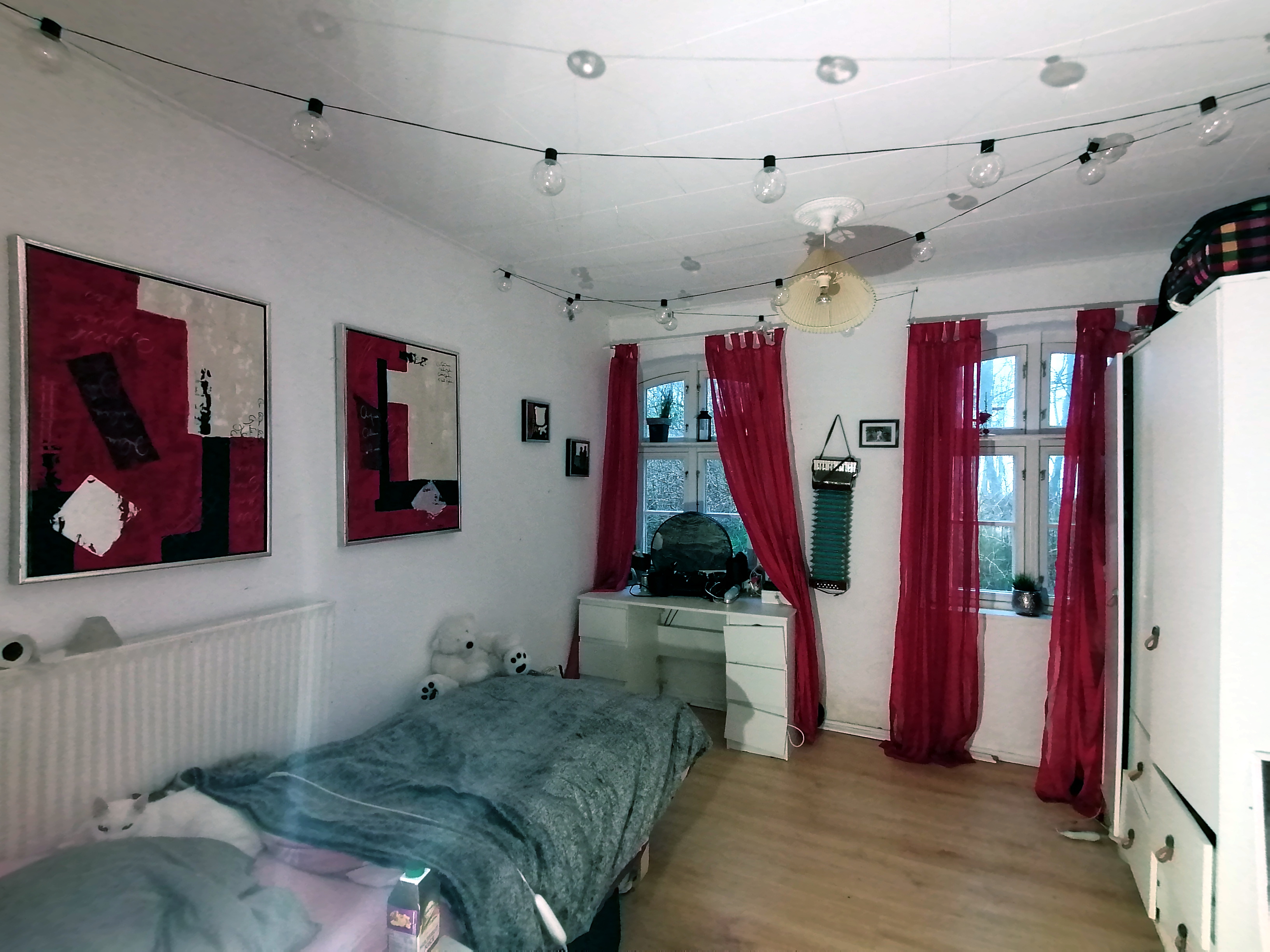 IMG 20250120 143614.jpg