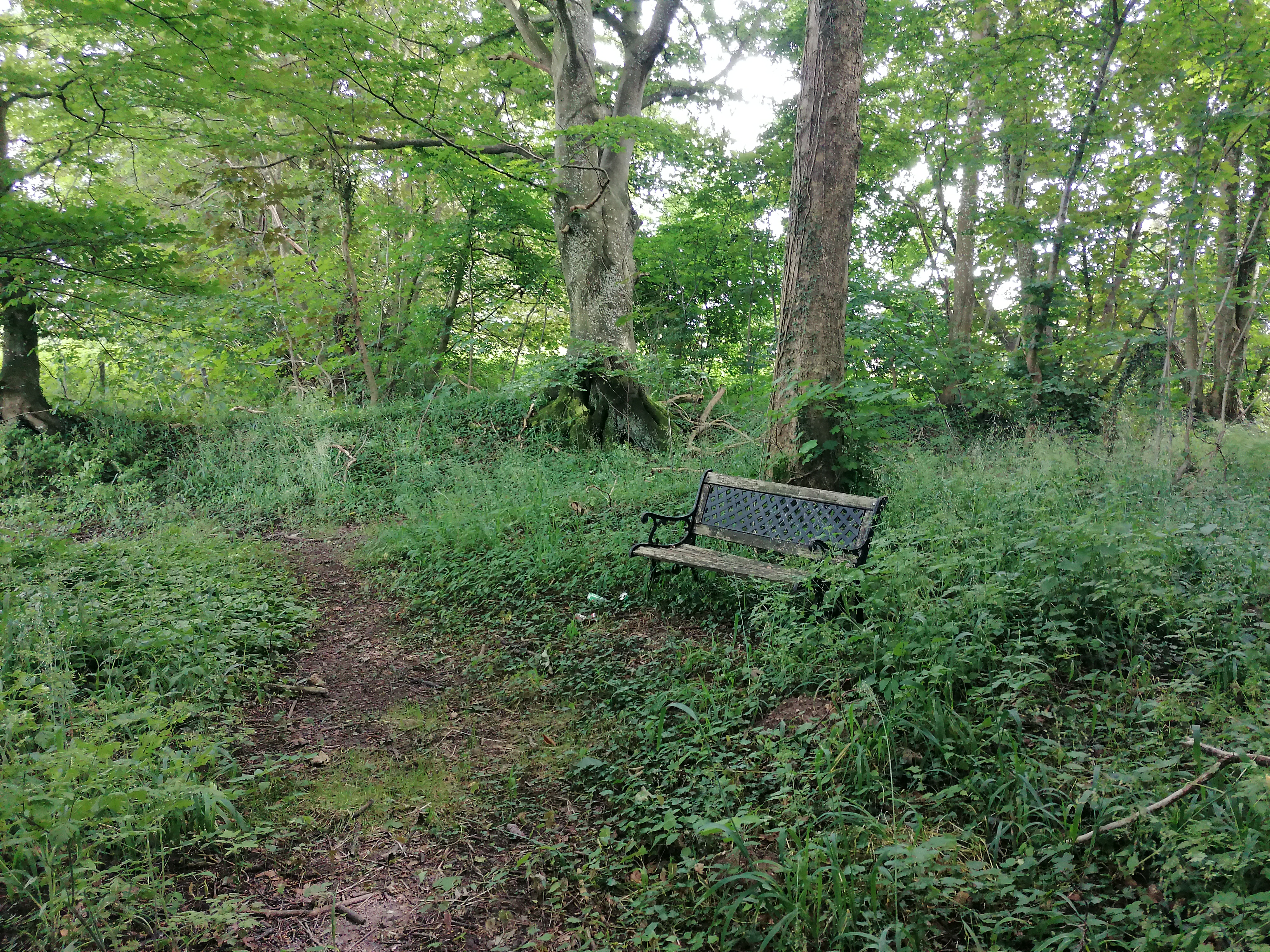 IMG 20240703 143729.jpg