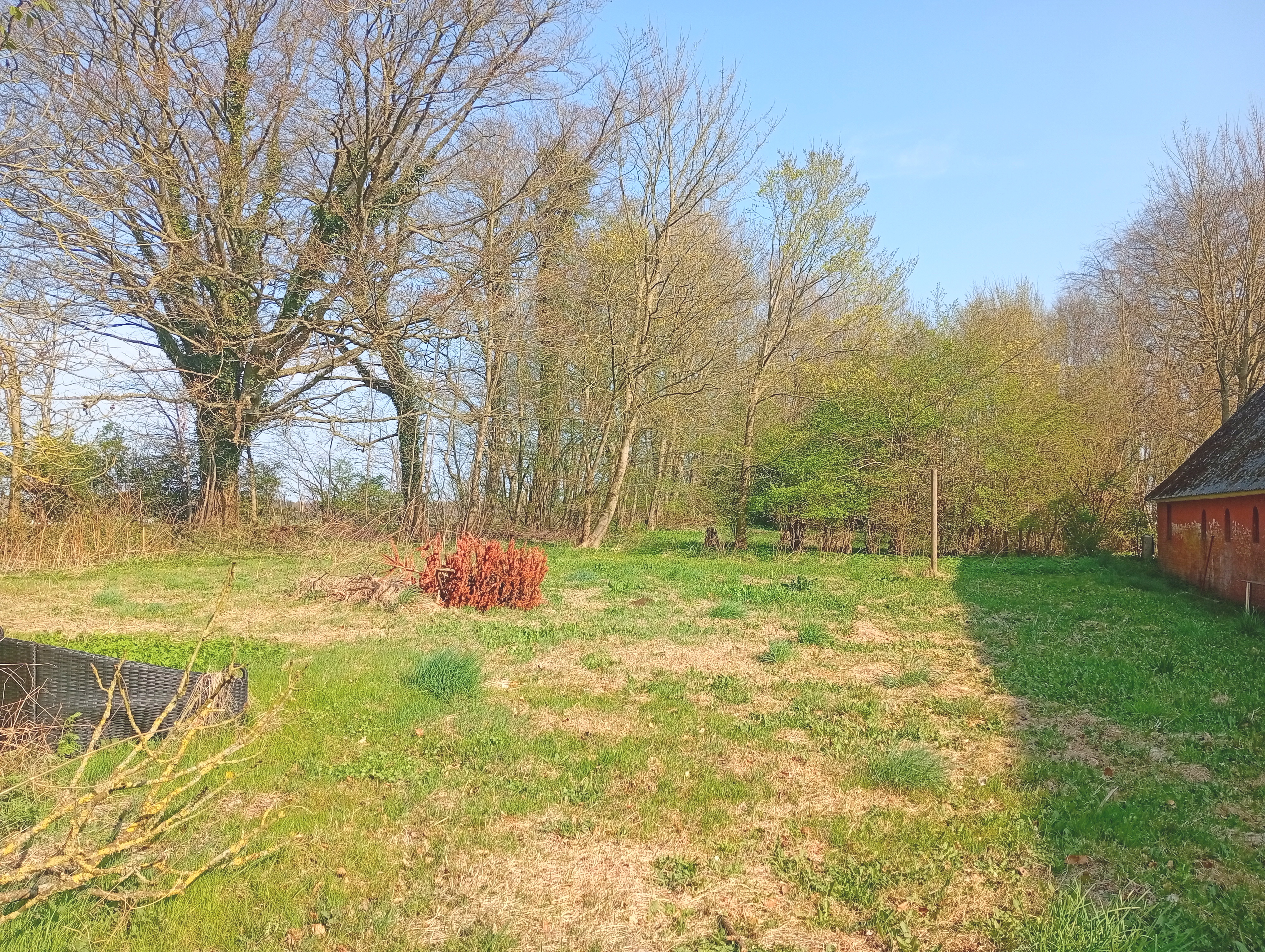 IMG 20250415 101802.jpg