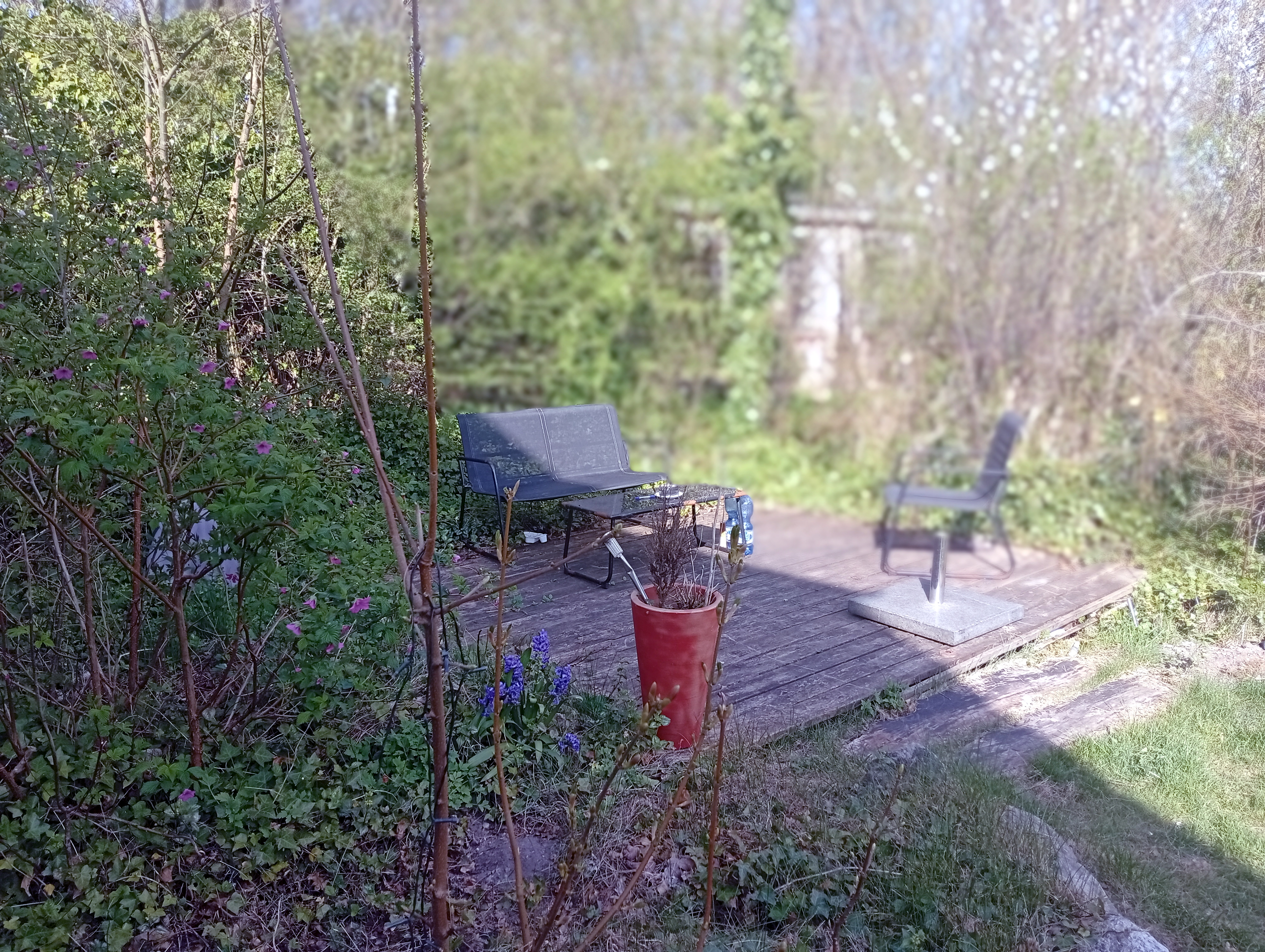 IMG 20250414 160906.jpg