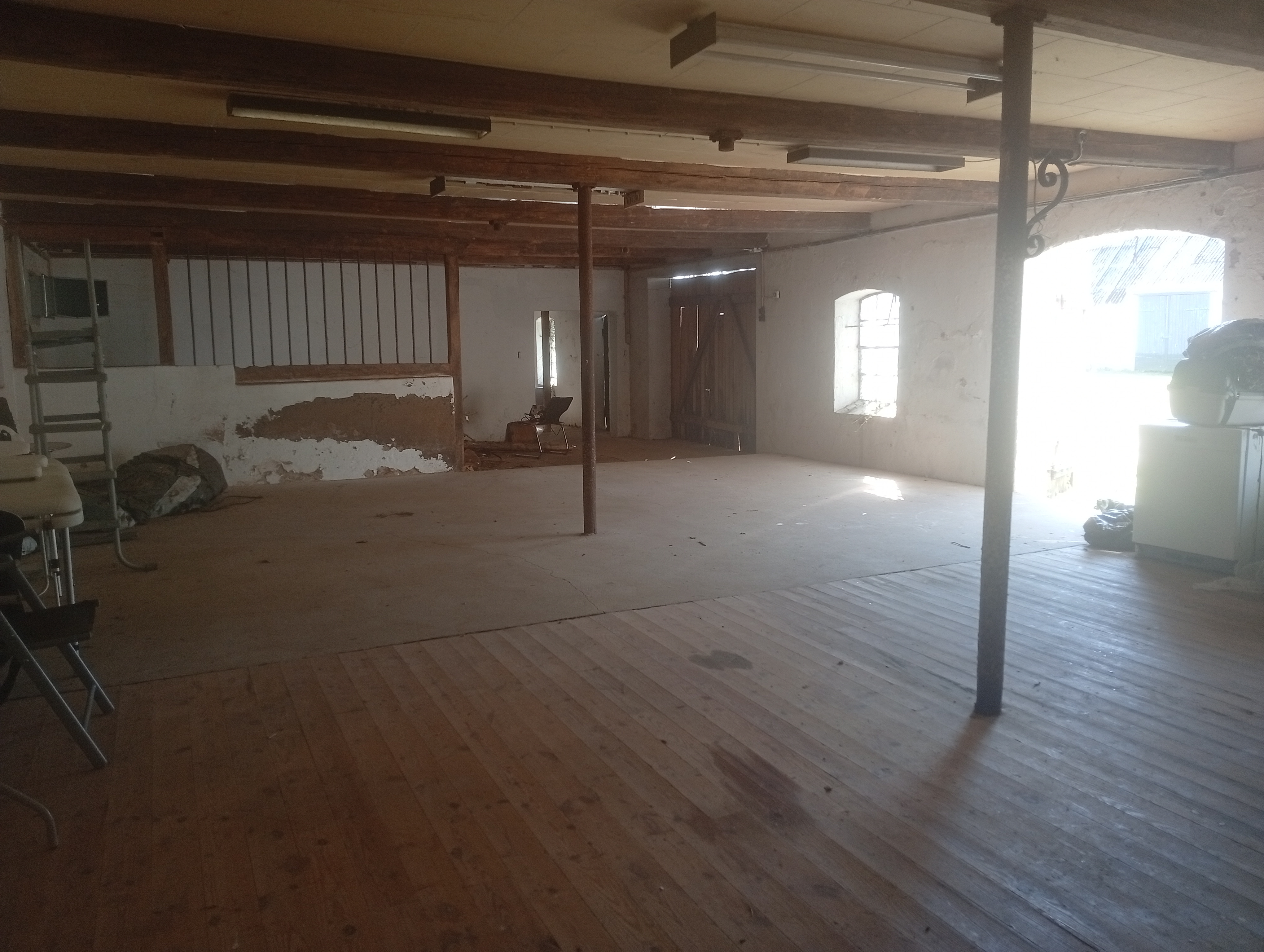 IMG 20250415 153357.jpg