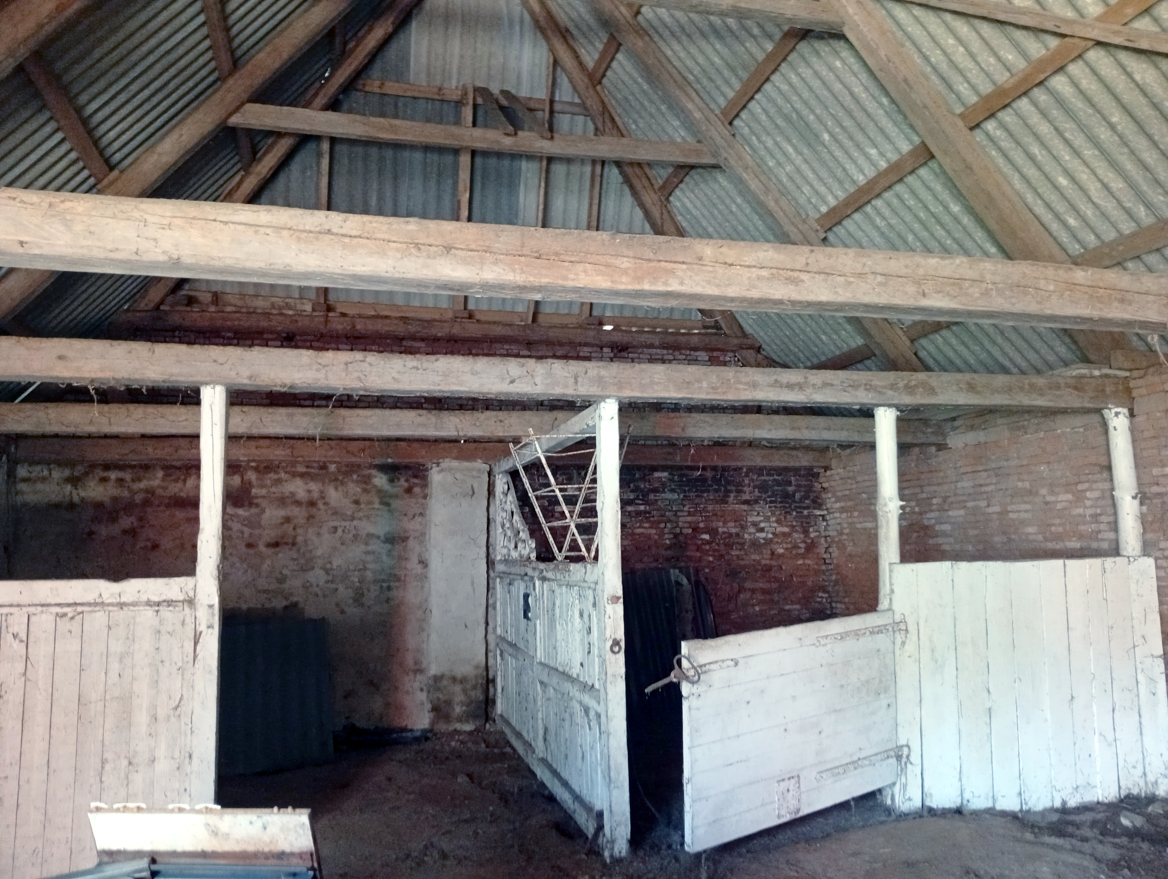 IMG 20250415 101938.jpg