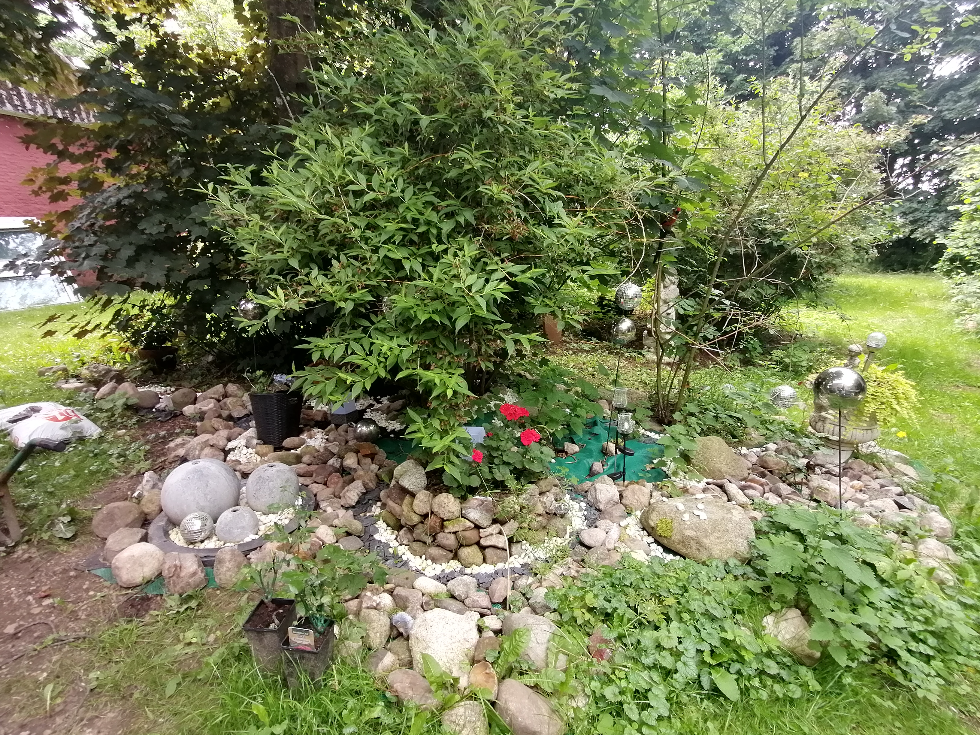 IMG 20240703 143320.jpg