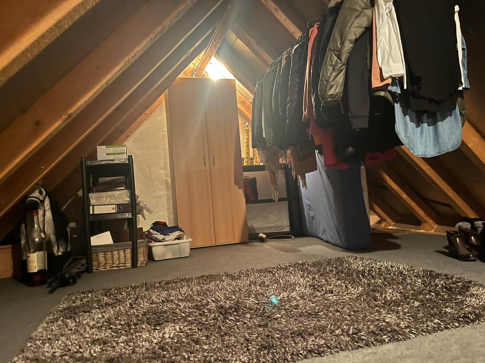 Dachspitz Bild 2.JPG