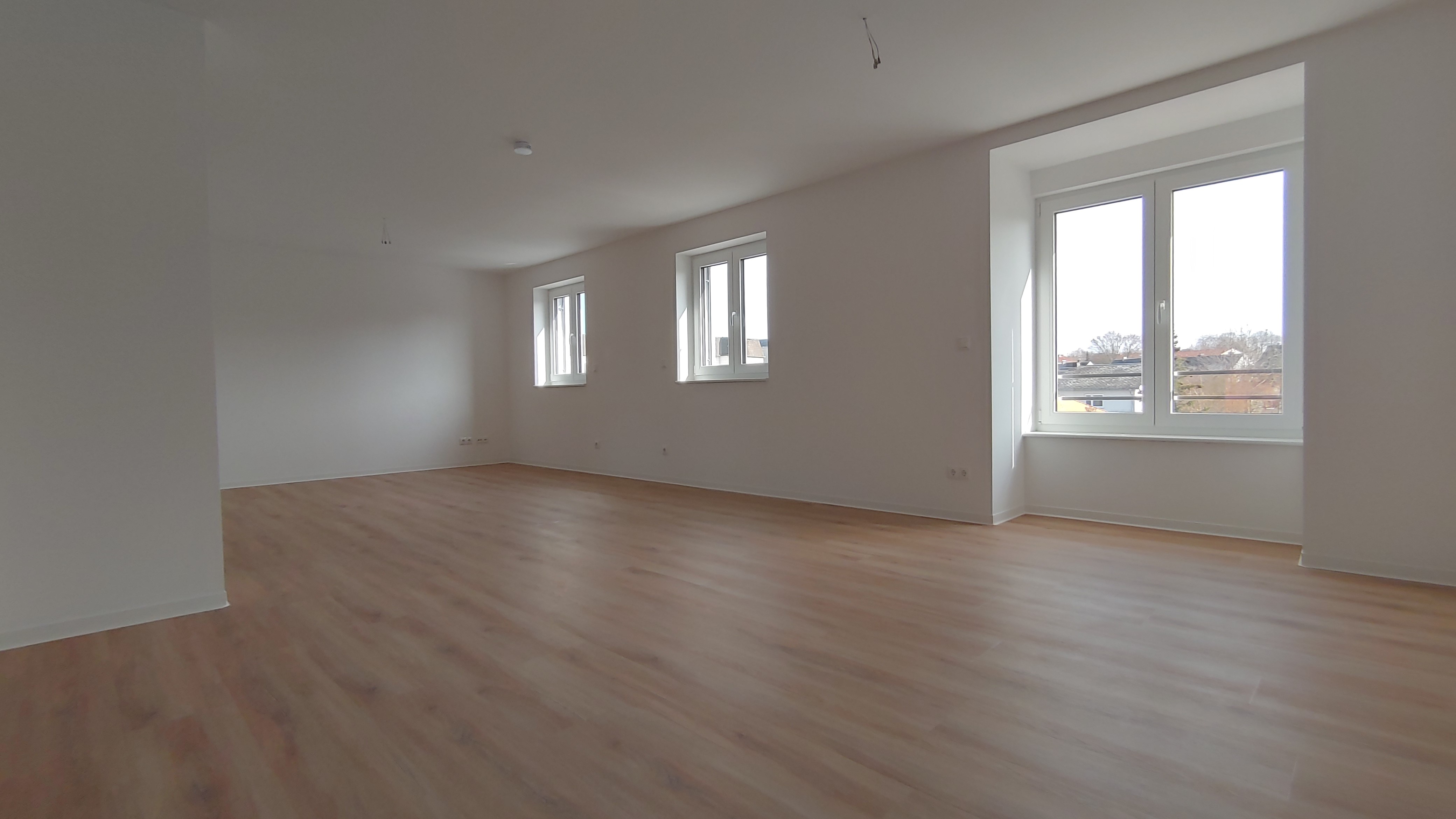 20250309 142636 HDR.jpg kopie.jpg